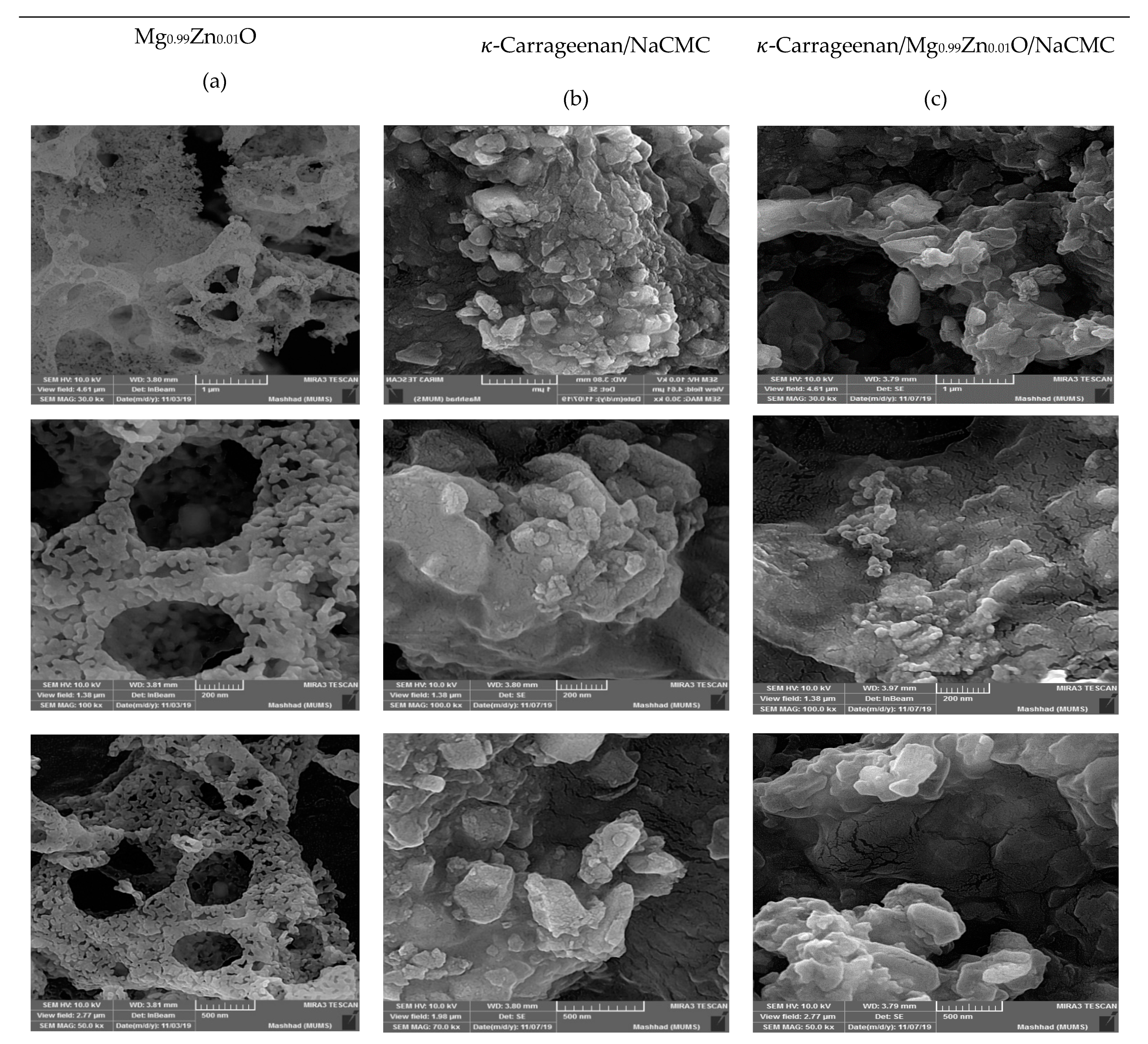Polymers 12 00861 g006