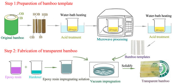 Study on the Properties of Transparent Bamboo Prepared by Epoxy Resin Impregnation