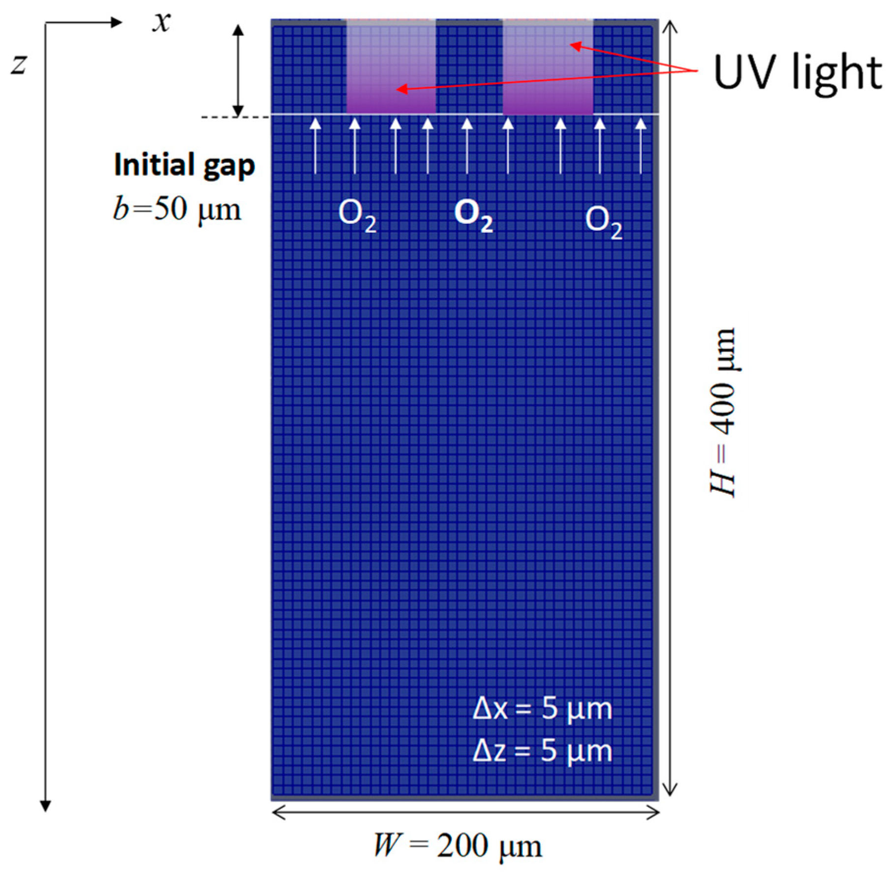 Polymers 12 00875 g001