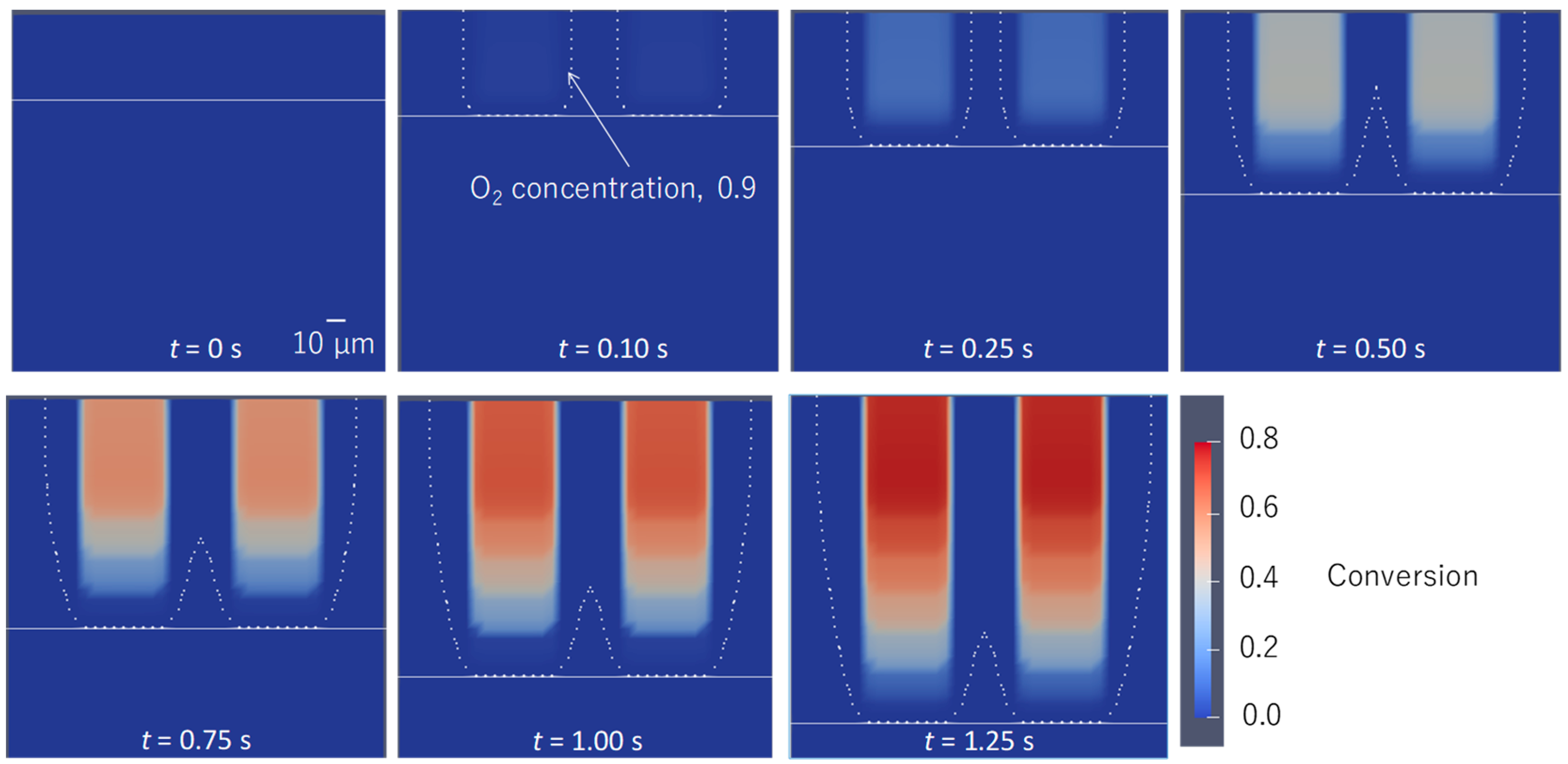 Polymers 12 00875 g002