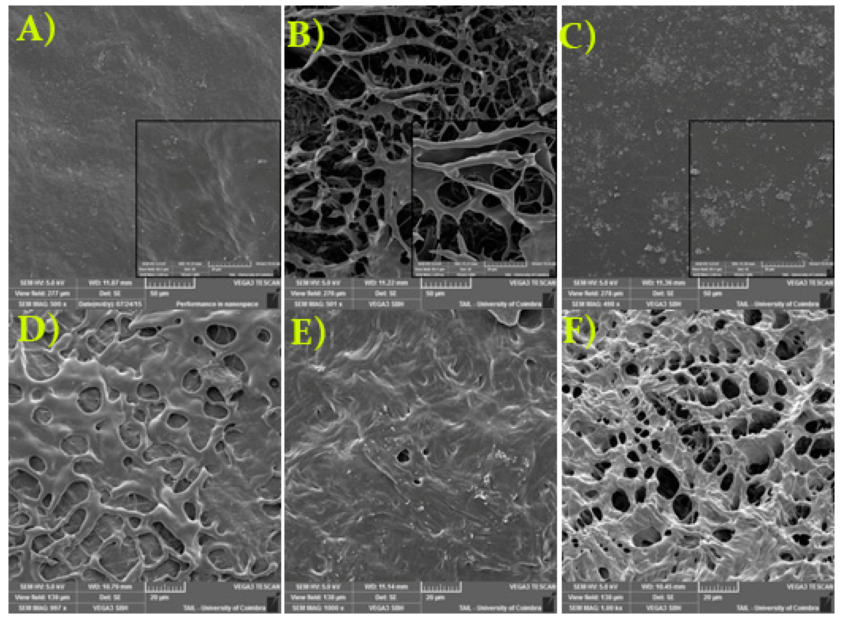 Polymers 12 00877 g005 Polymers 12 00877 g005