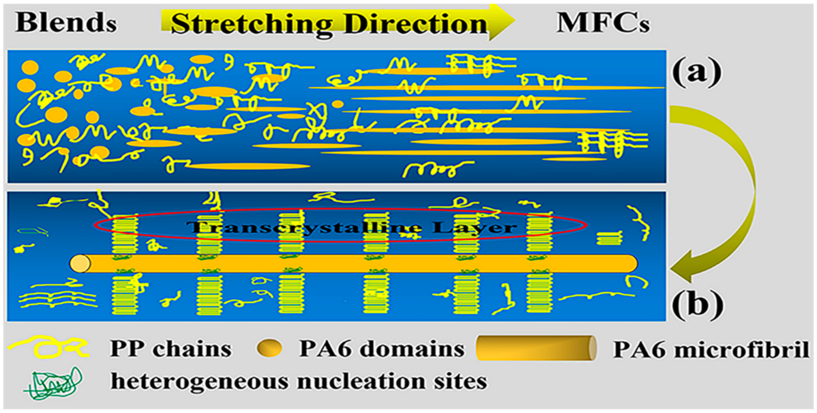 Polymers 12 00878 g007