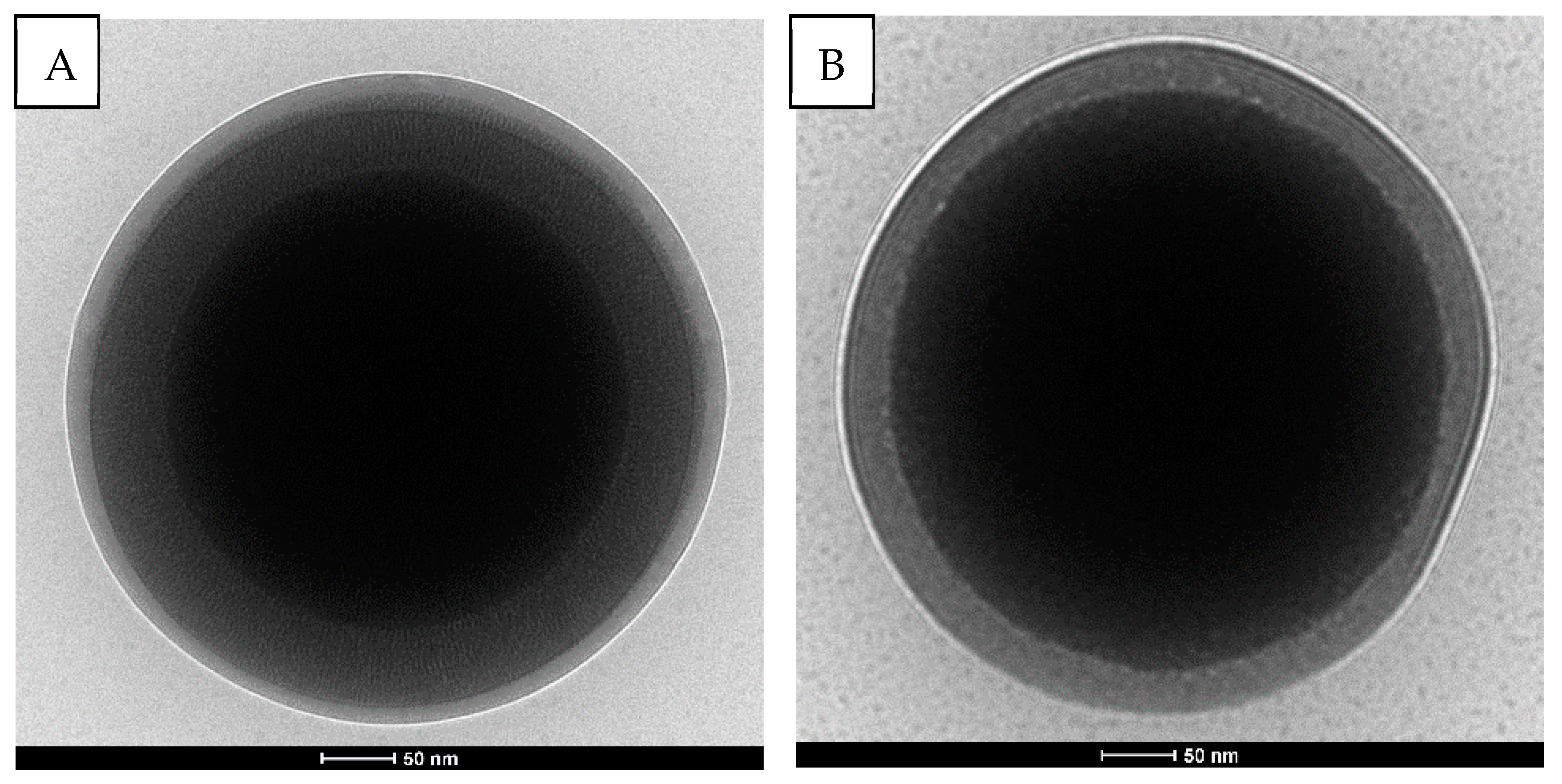 Polymers 12 00888 g003