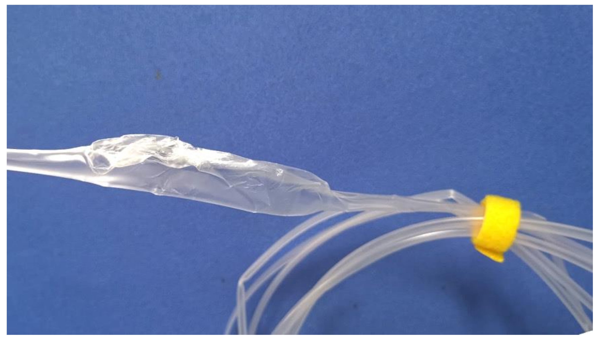 Polymers 12 00899 g002 Polymers 12 00899 g002