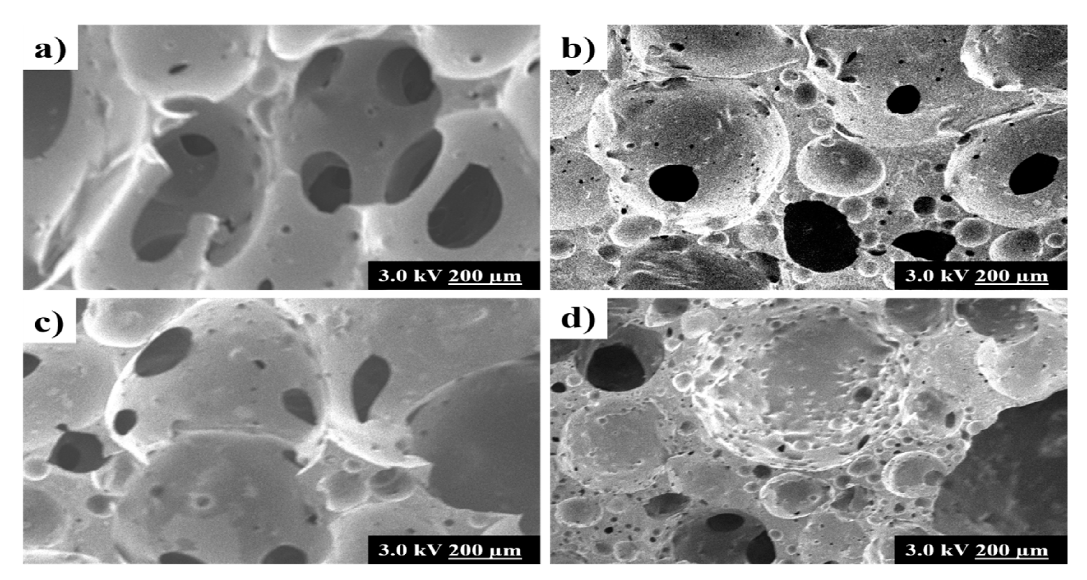 Polymers 12 00903 g004