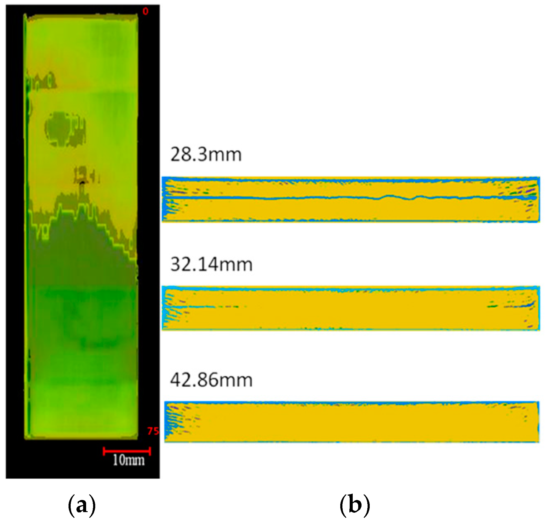 Polymers 12 00904 g006