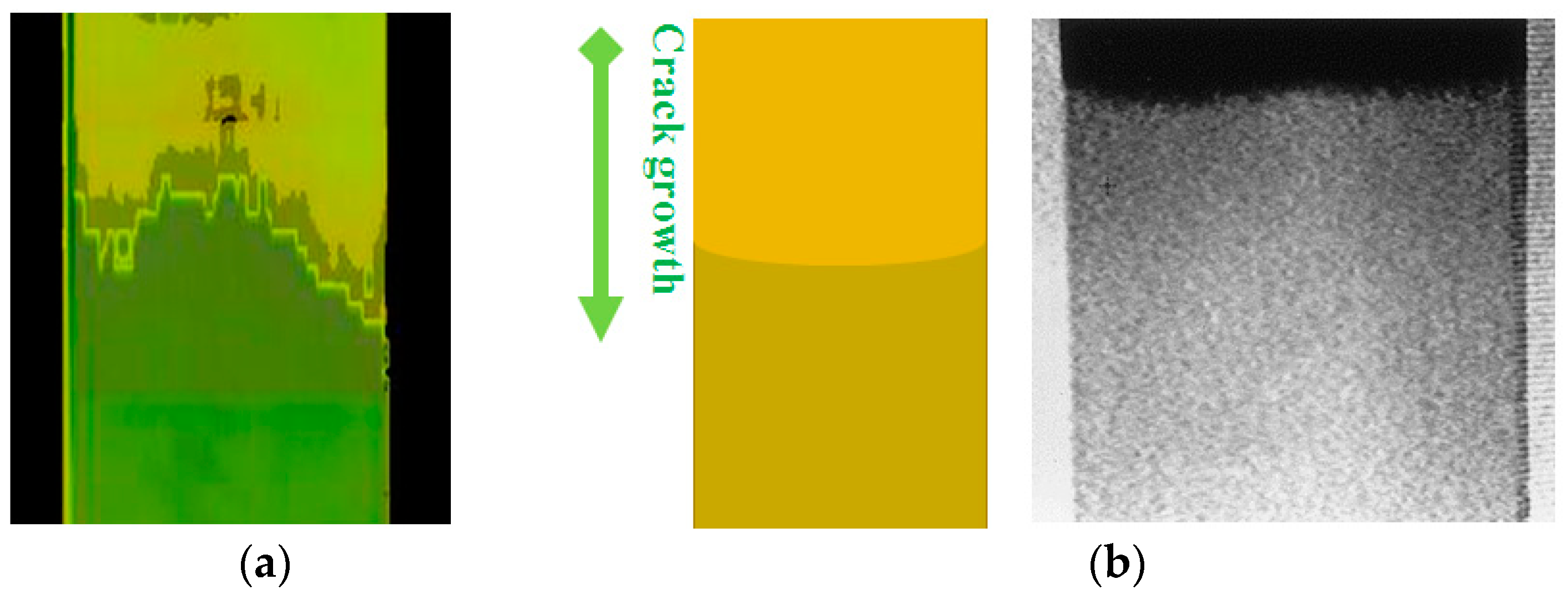 Polymers 12 00904 g007