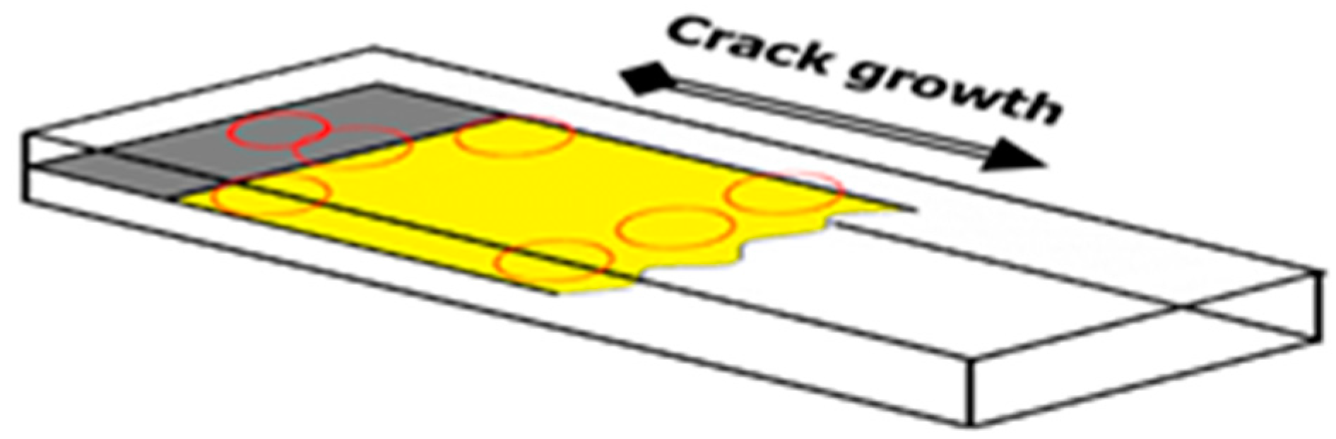 Polymers 12 00904 g008