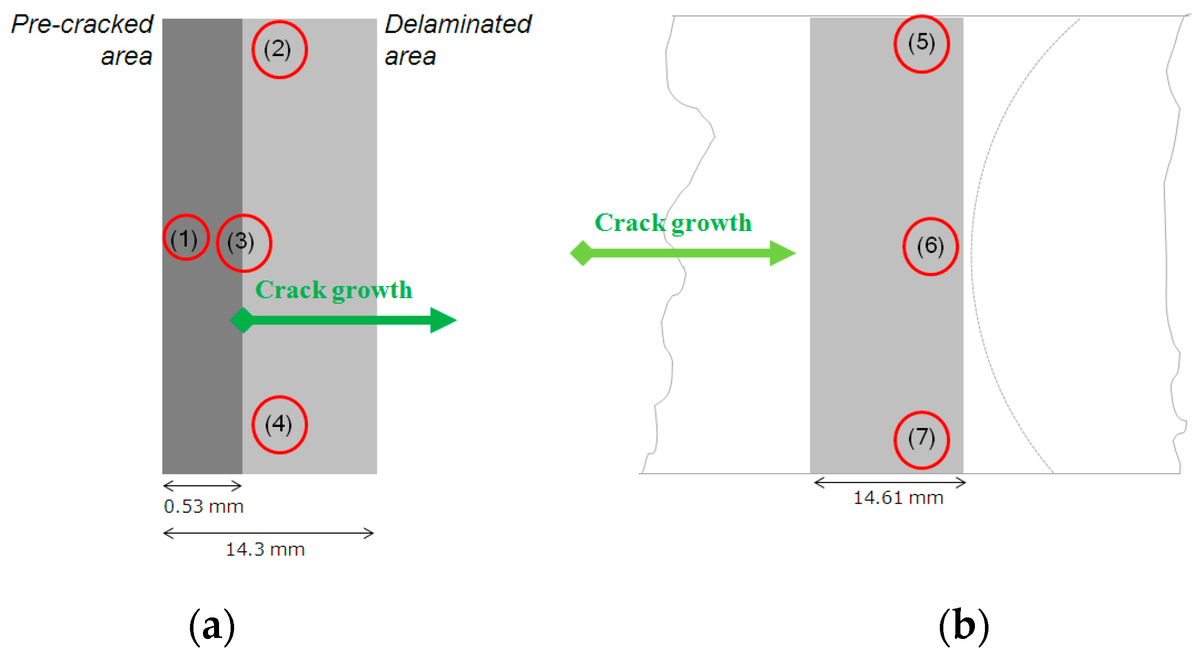 Polymers 12 00904 g009