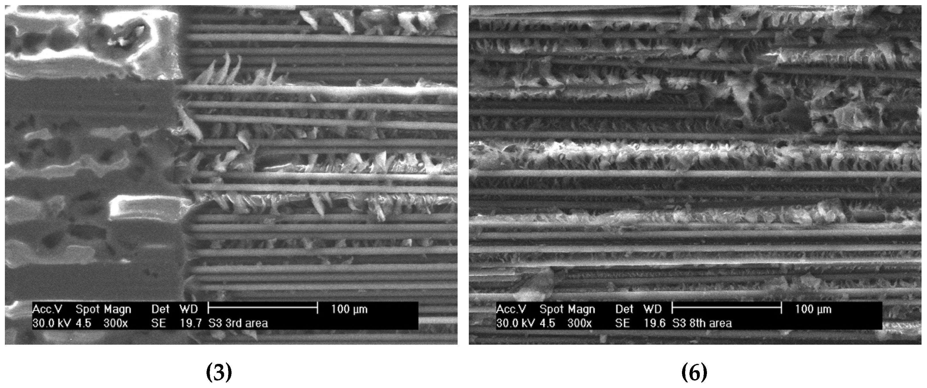 Polymers 12 00904 g010b