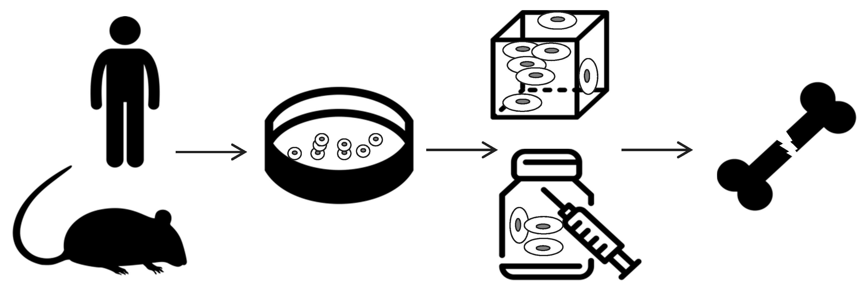 Polymers 12 00905 g002 Polymers 12 00905 g002