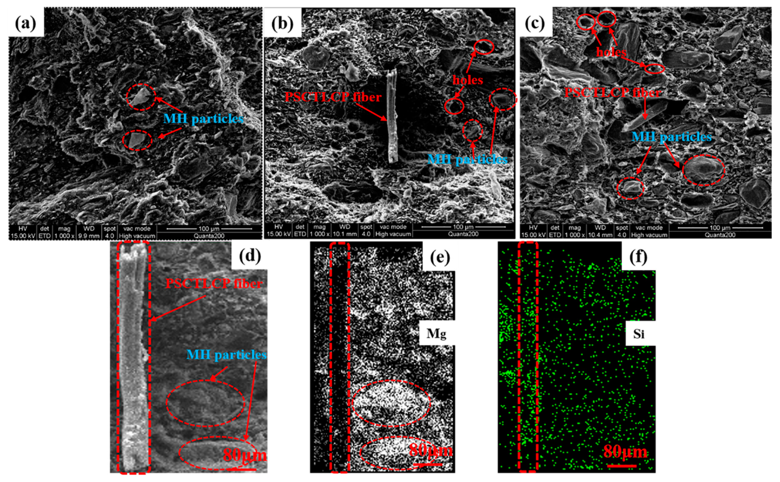 Polymers 12 00911 g010