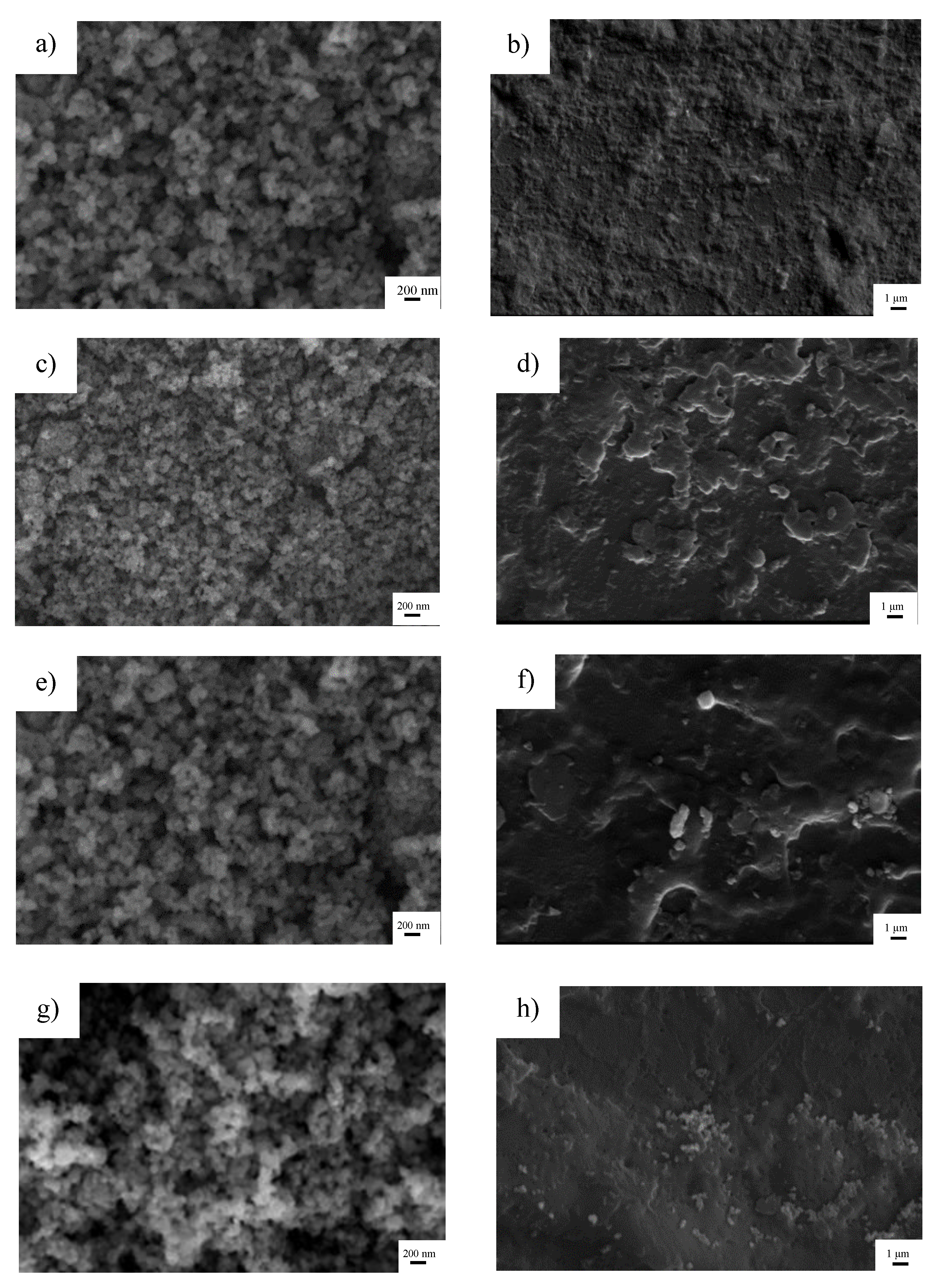Polymers 12 00917 g002 Polymers 12 00917 g002