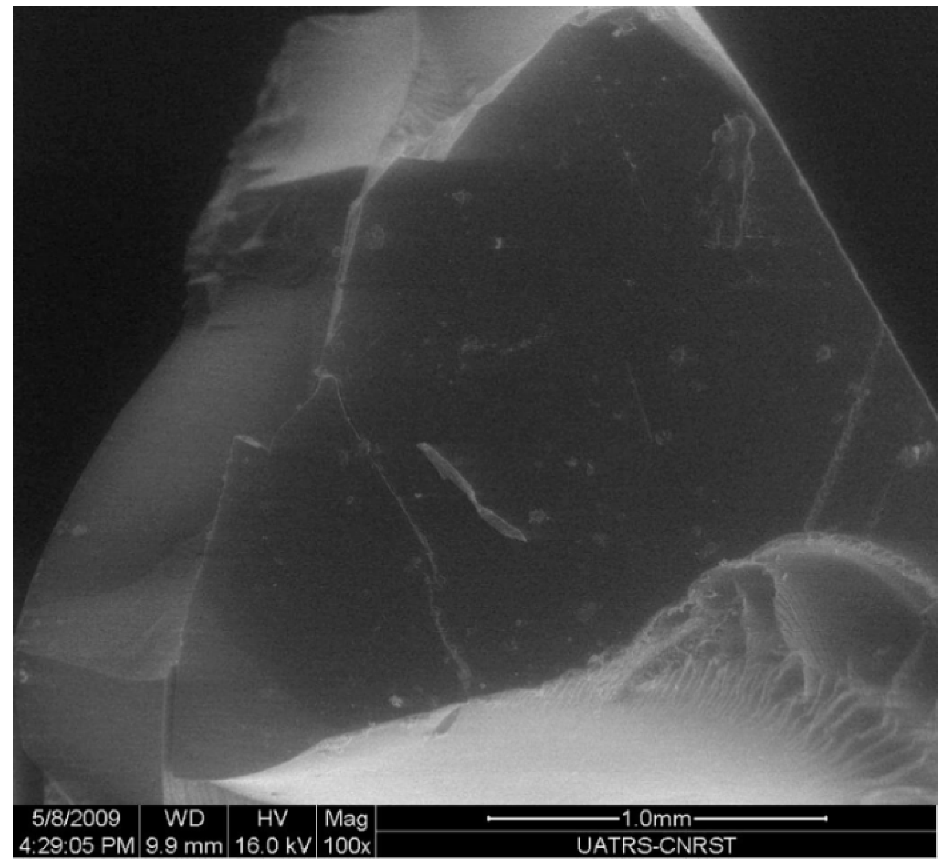 Polymers 12 00921 g004