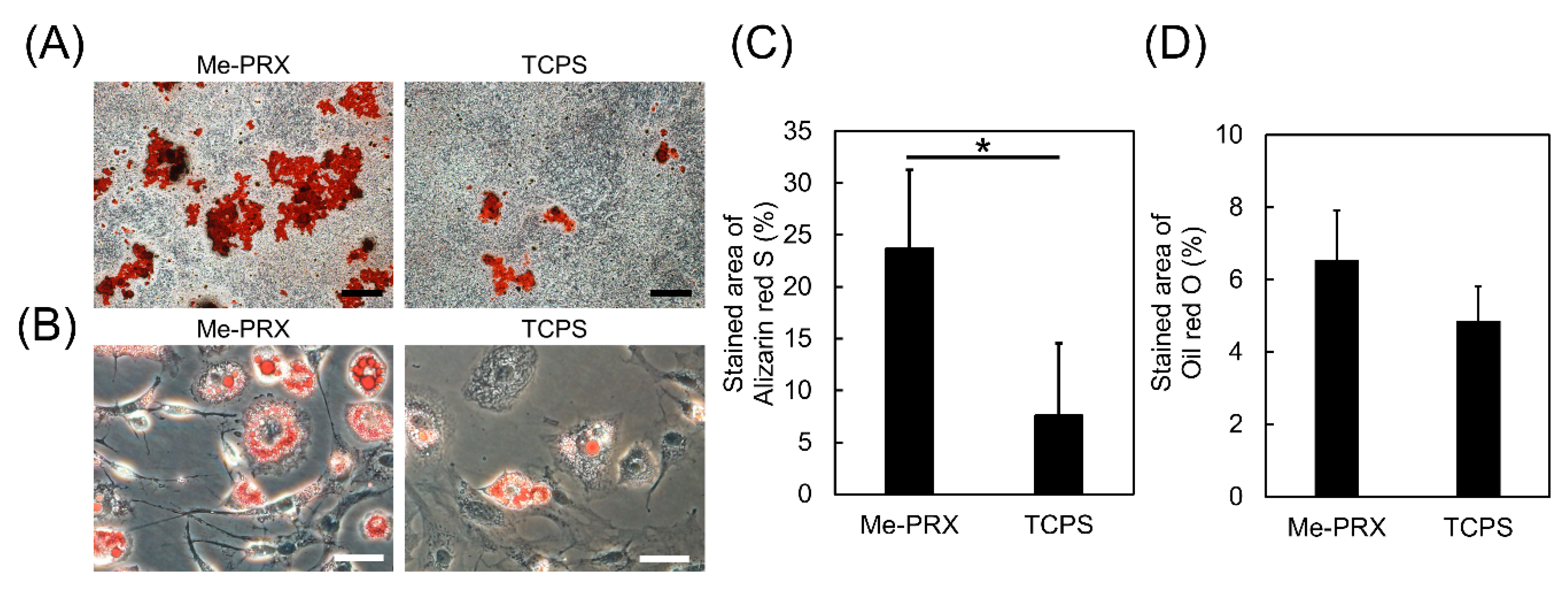 Polymers 12 00924 g006