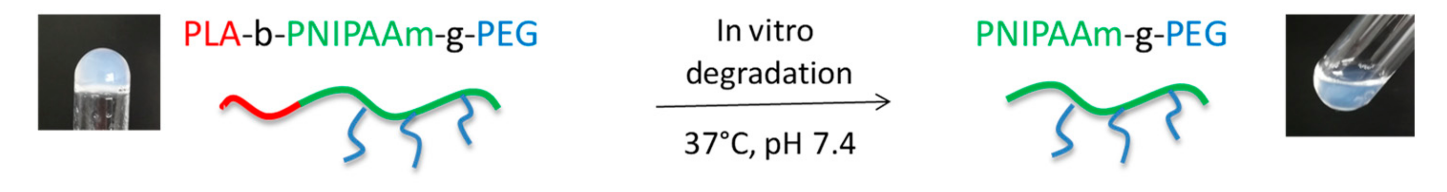 Polymers 12 00925 g001 Polymers 12 00925 g001