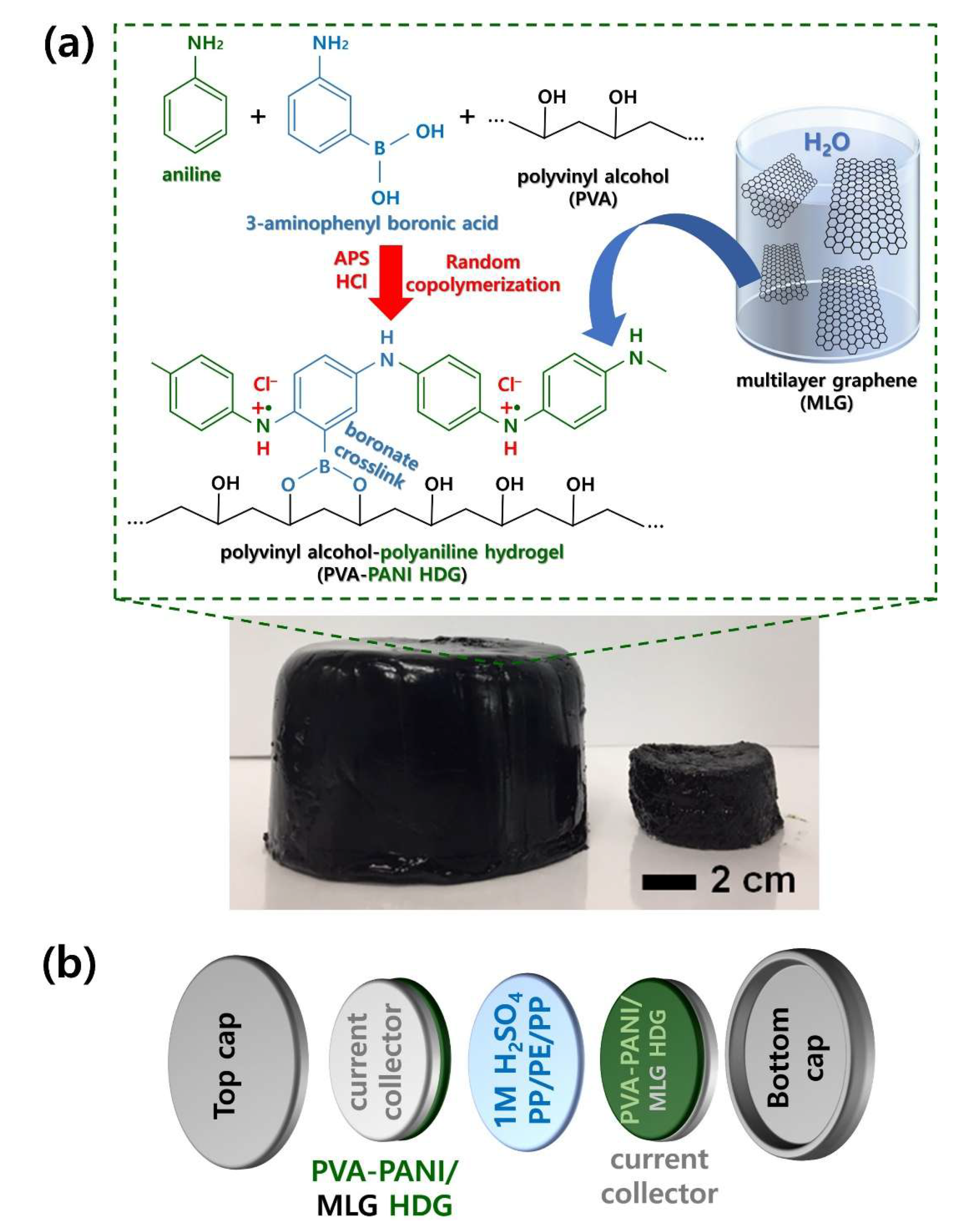 Polymers 12 00928 g002