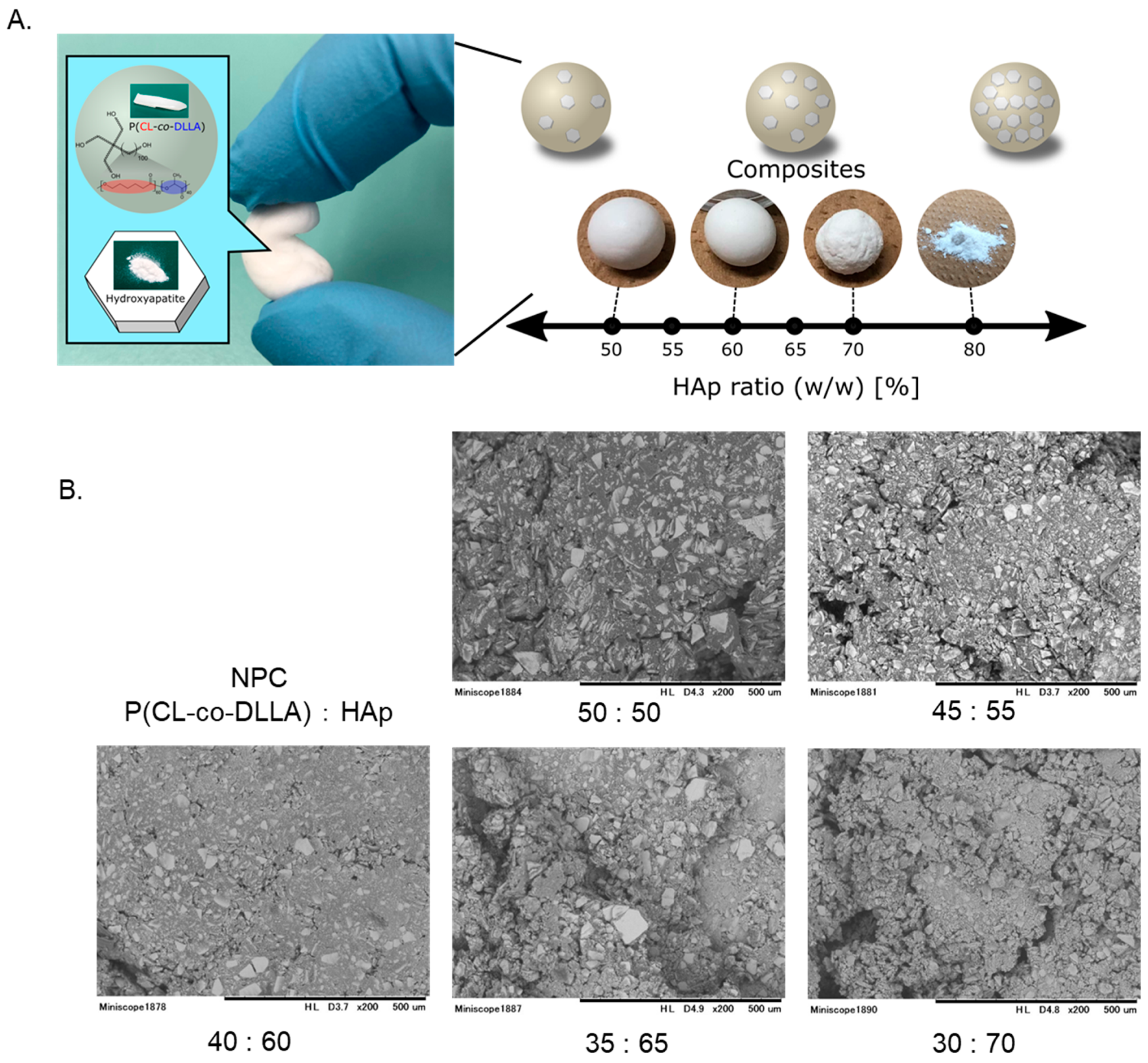 Polymers 12 00937 g001 Polymers 12 00937 g001