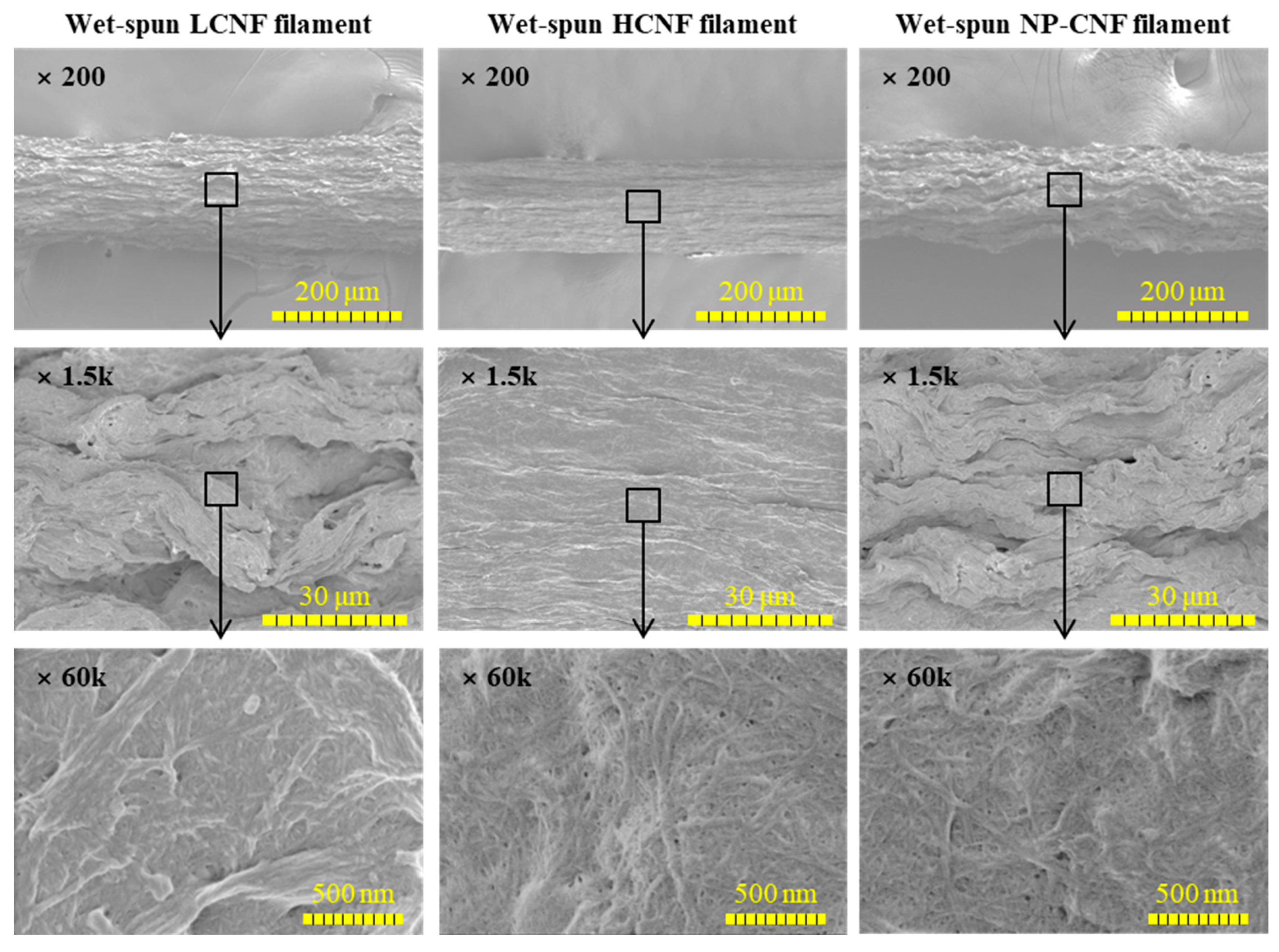 Polymers 12 00949 g002 Polymers 12 00949 g002