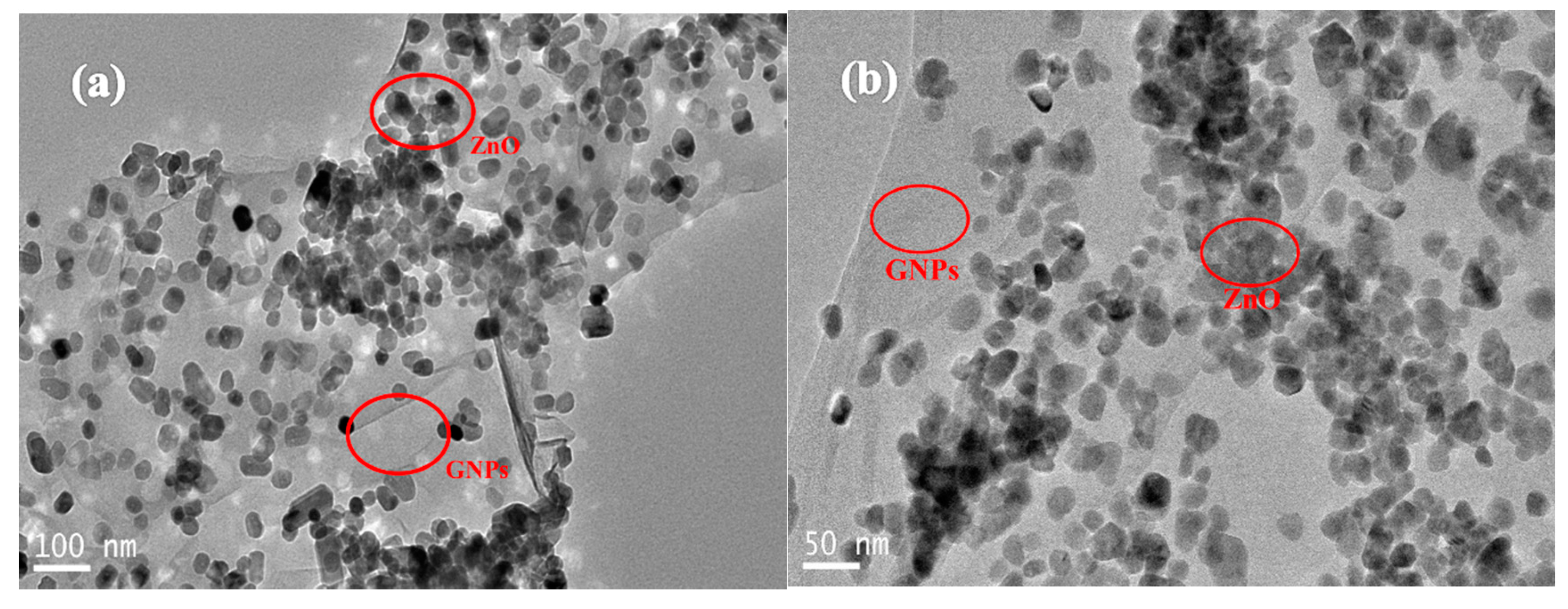 Polymers 12 00951 g003 Polymers 12 00951 g003
