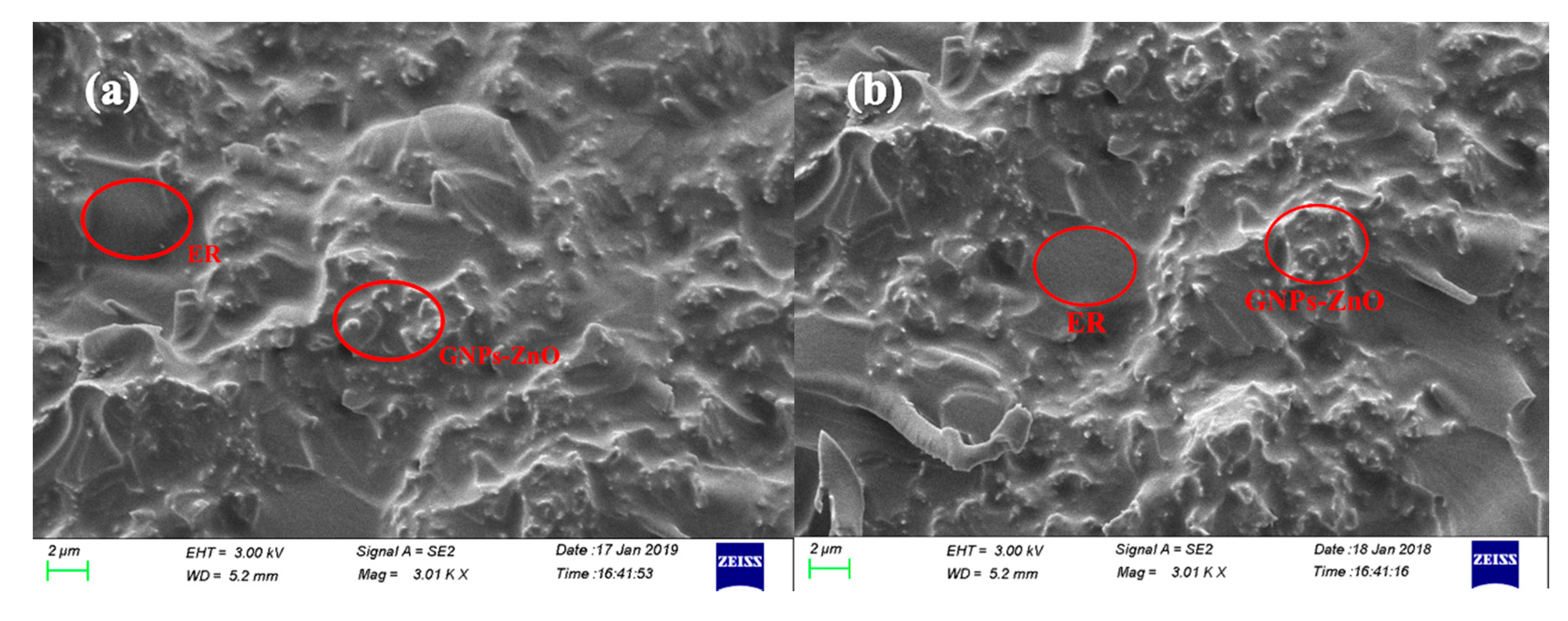 Polymers 12 00951 g008 Polymers 12 00951 g008