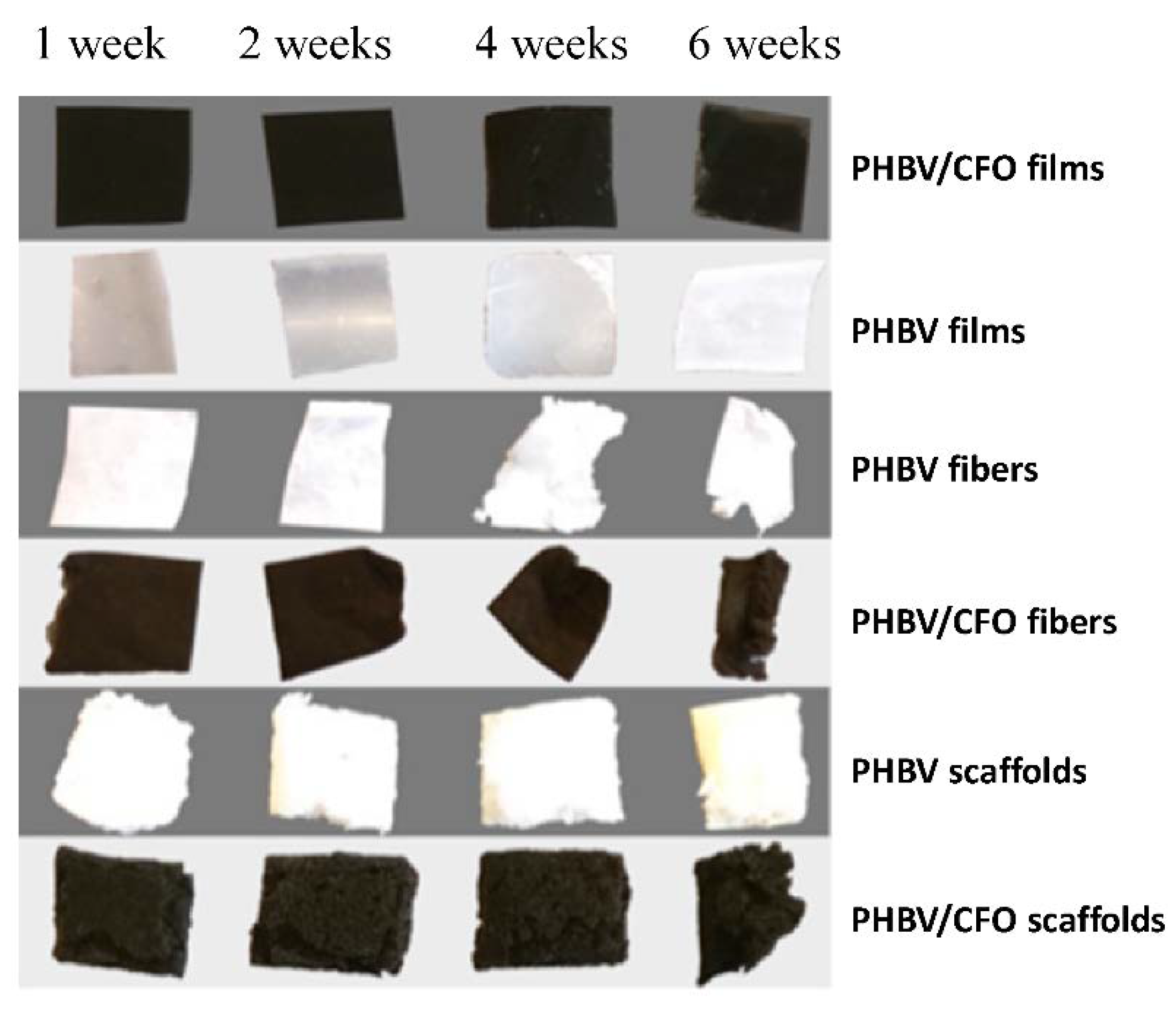Polymers 12 00953 g002