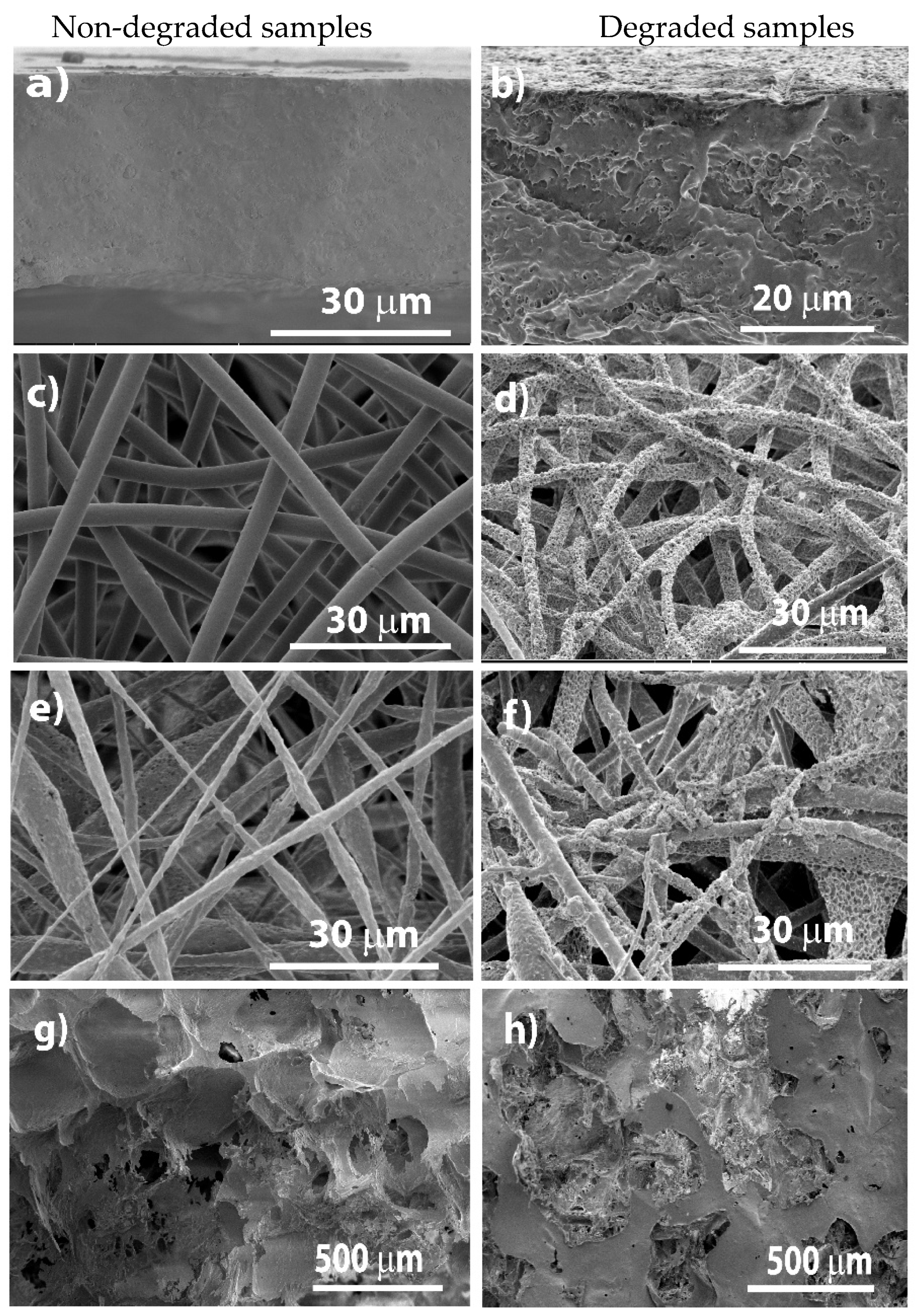 Polymers 12 00953 g003