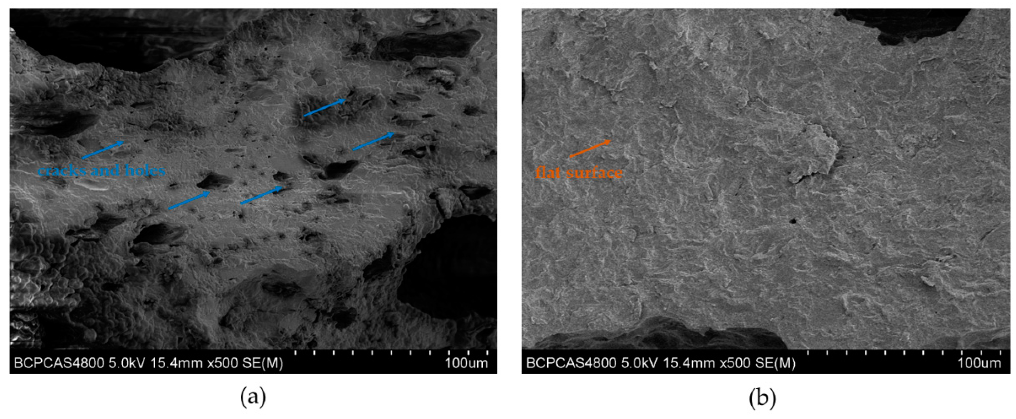 Polymers 12 00954 g004