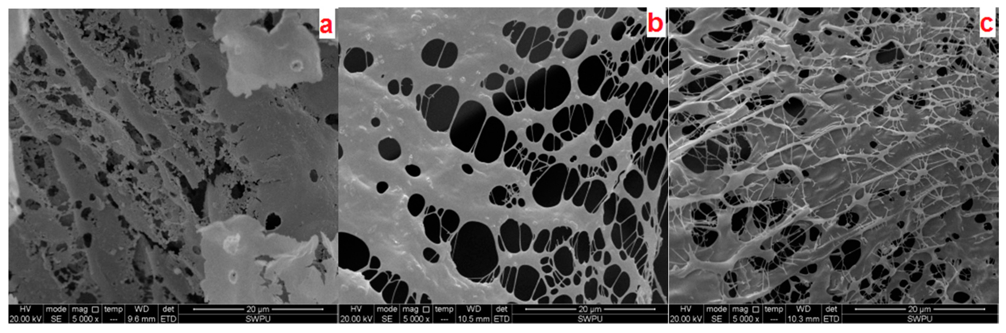 Polymers 12 00955 g012 Polymers 12 00955 g012