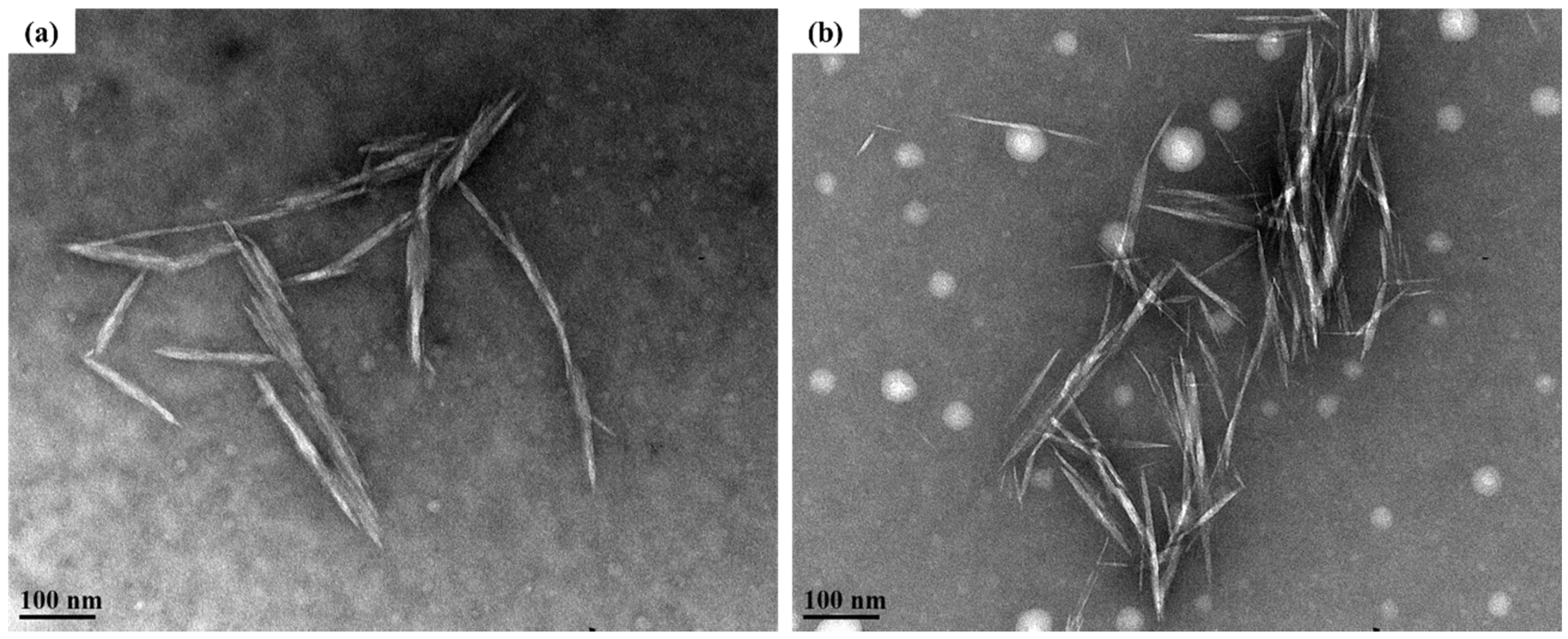 Polymers 12 00958 g002 Polymers 12 00958 g002