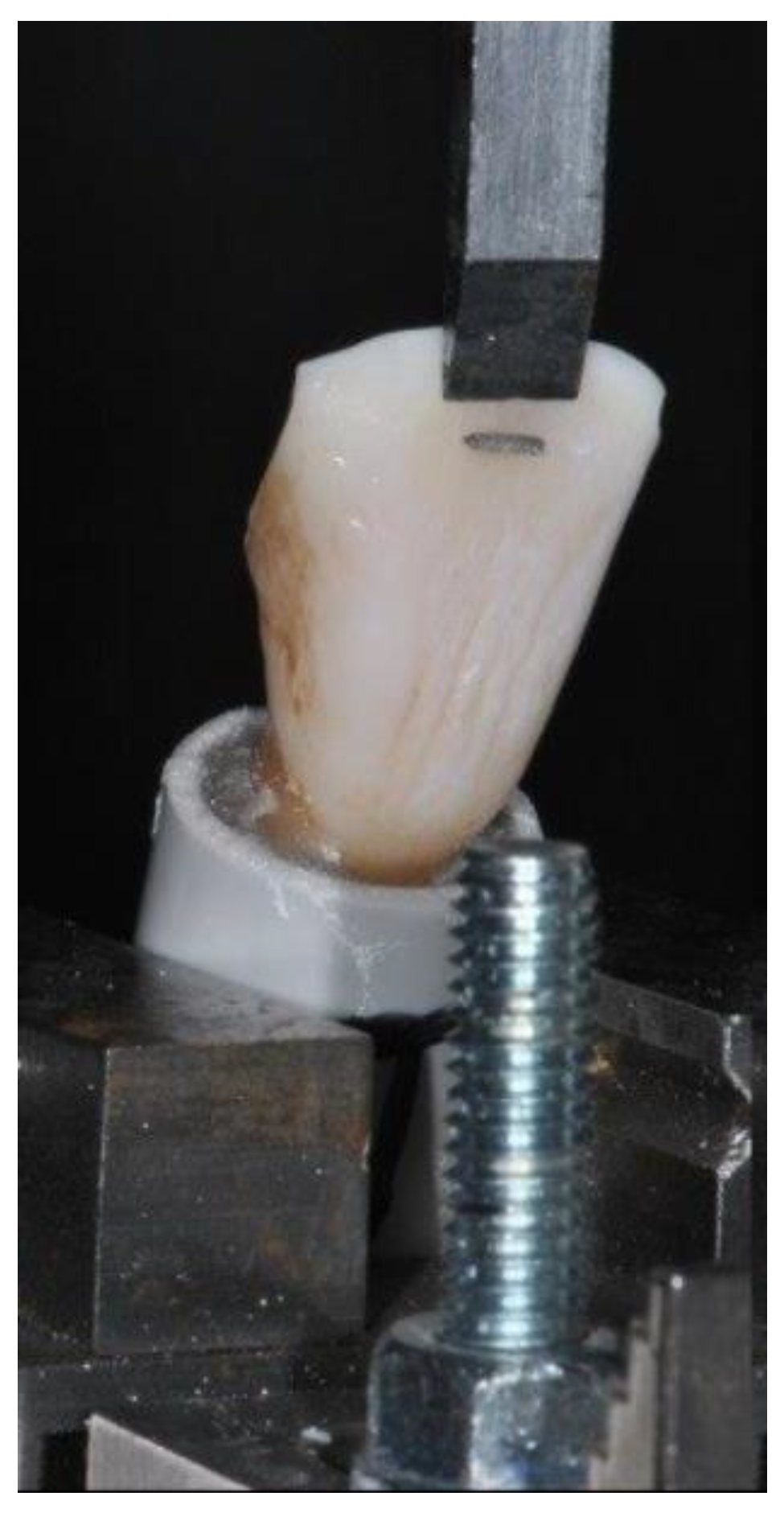 Polymers 12 00963 g003 Polymers 12 00963 g003