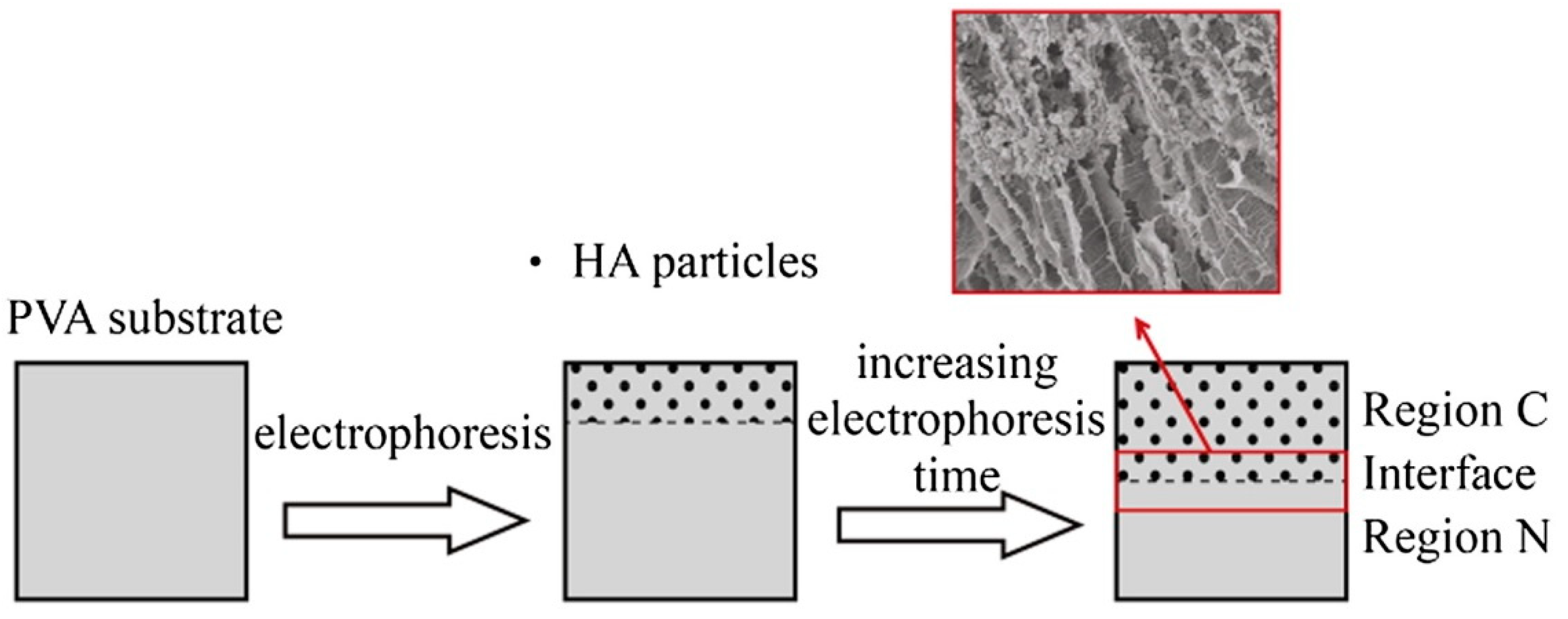 Polymers 12 00966 g003