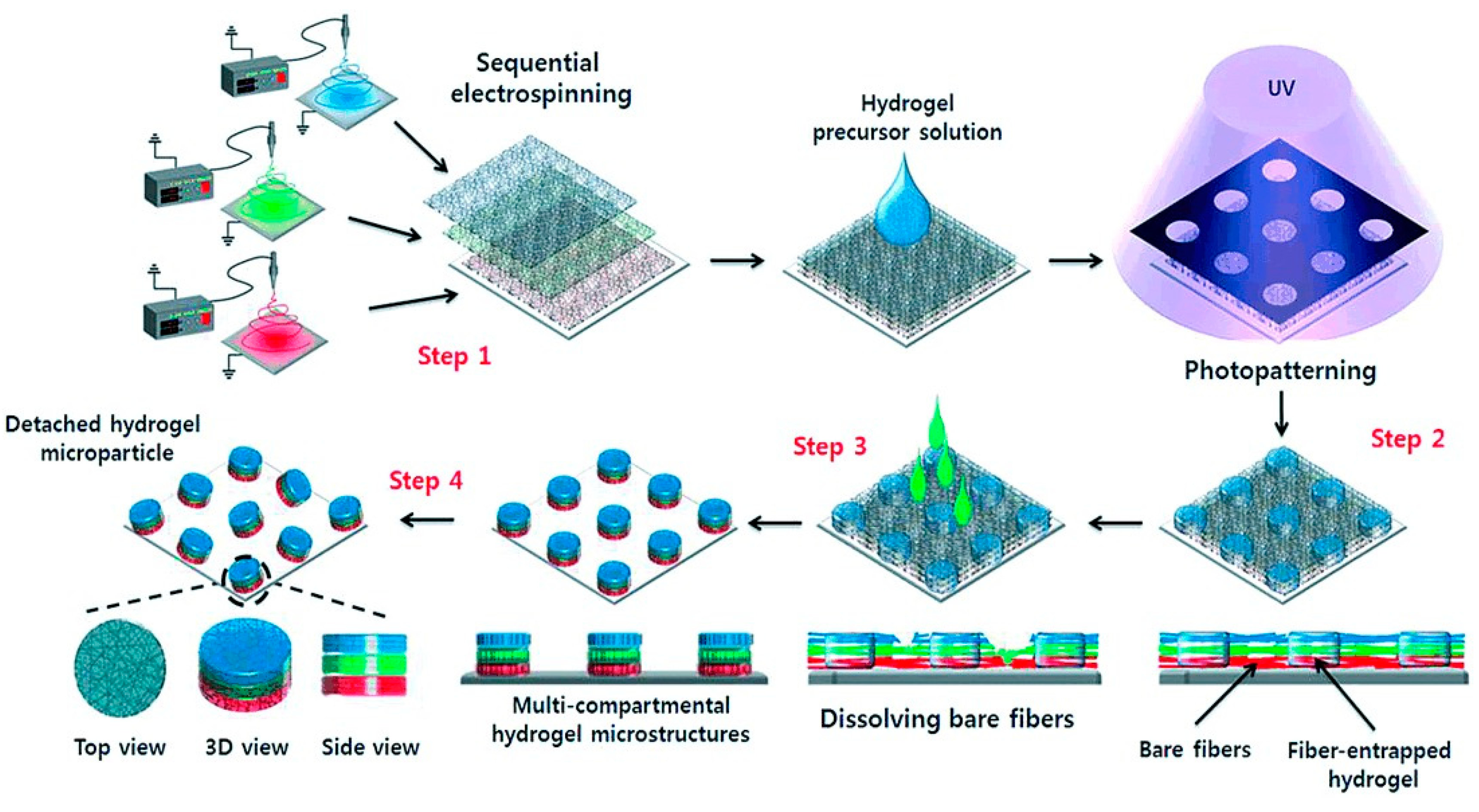 Polymers 12 00966 g004