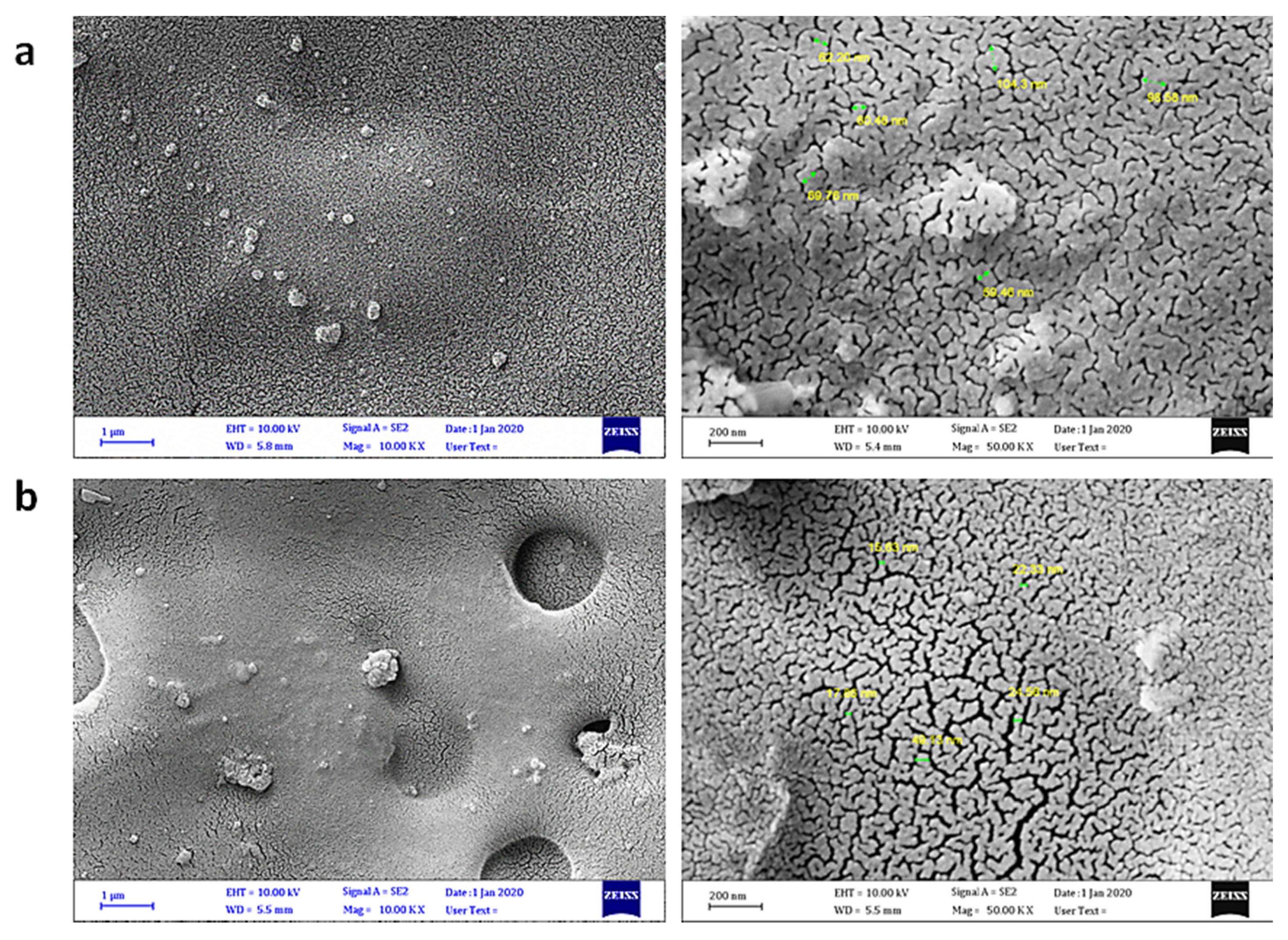 Polymers 12 00969 g009 Polymers 12 00969 g009