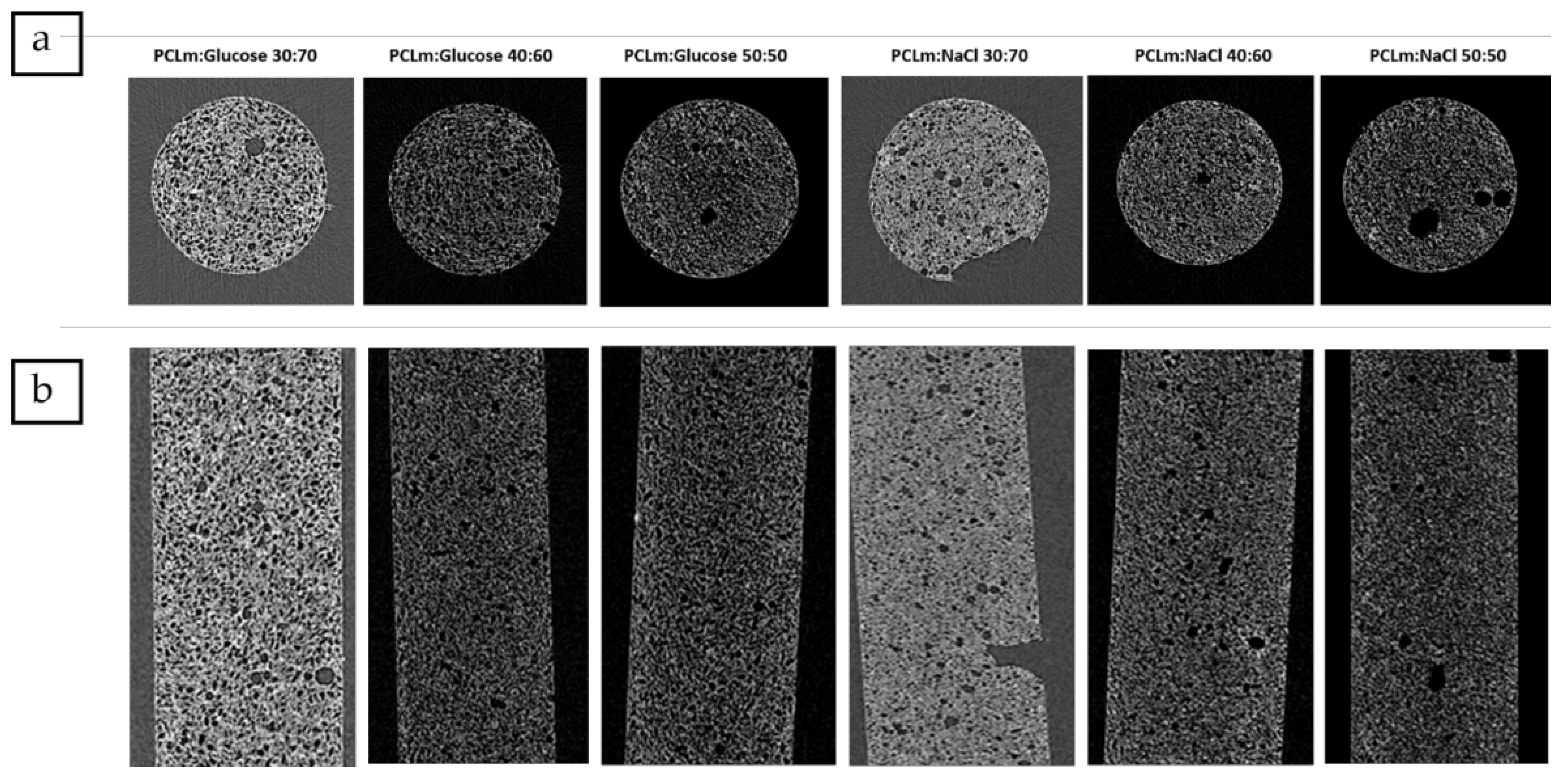 Polymers 12 00971 g005