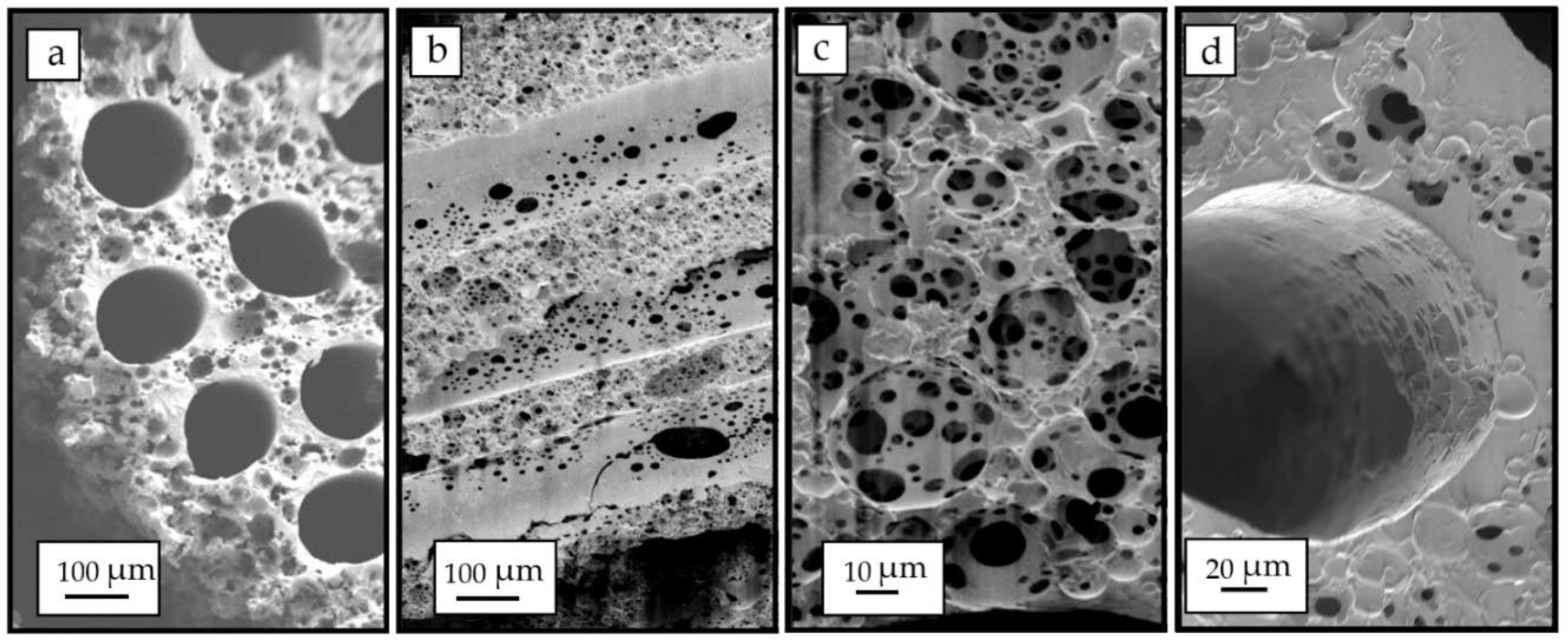 Polymers 12 00971 g007