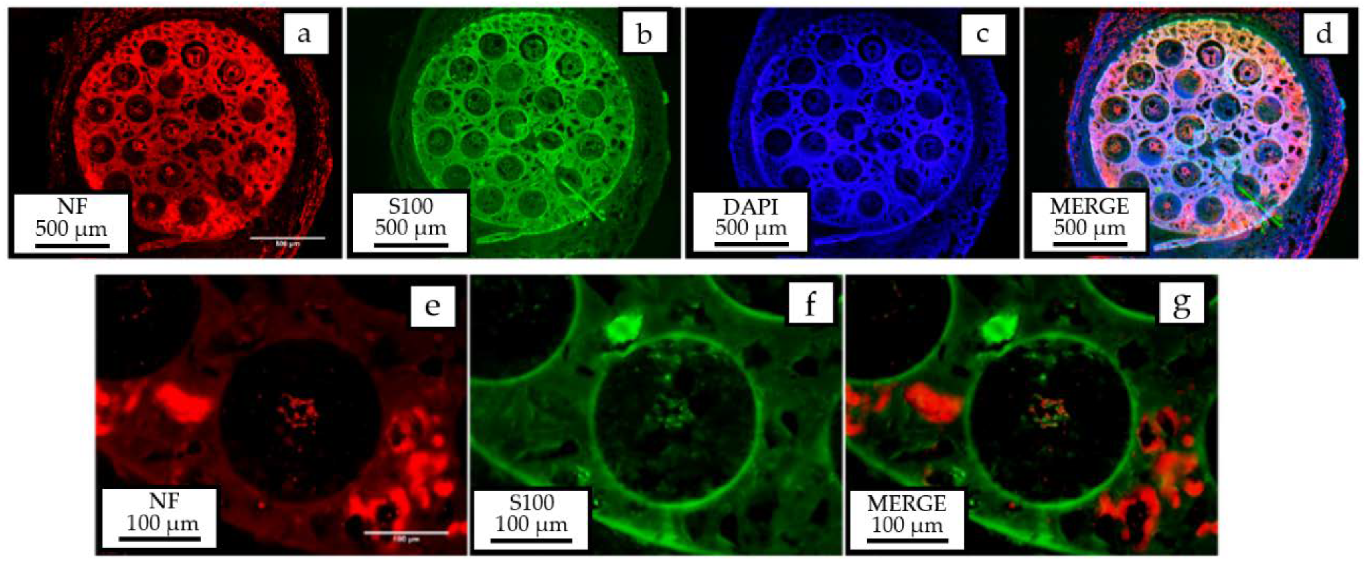 Polymers 12 00971 g014
