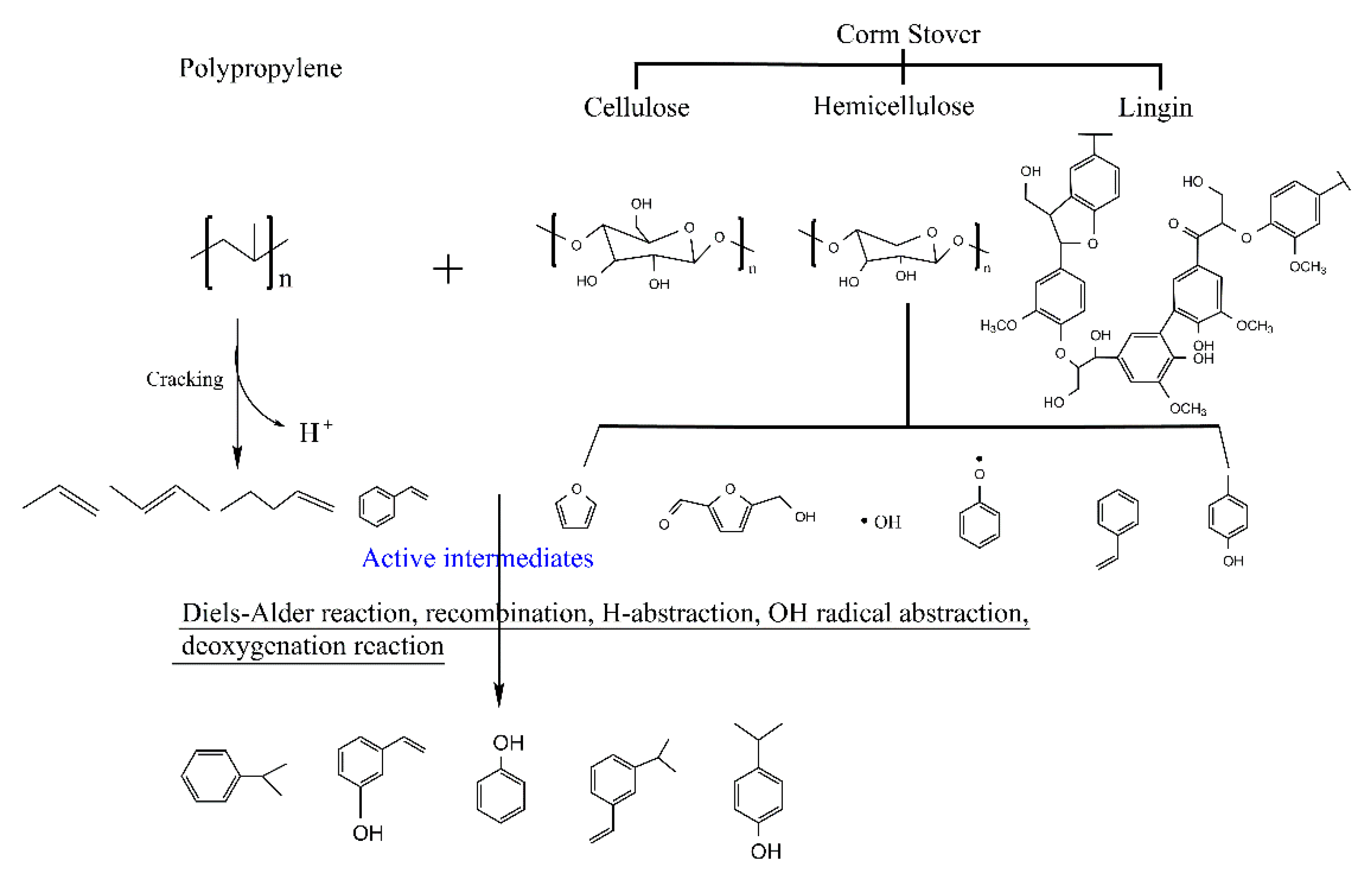 Polymers 12 00973 g004