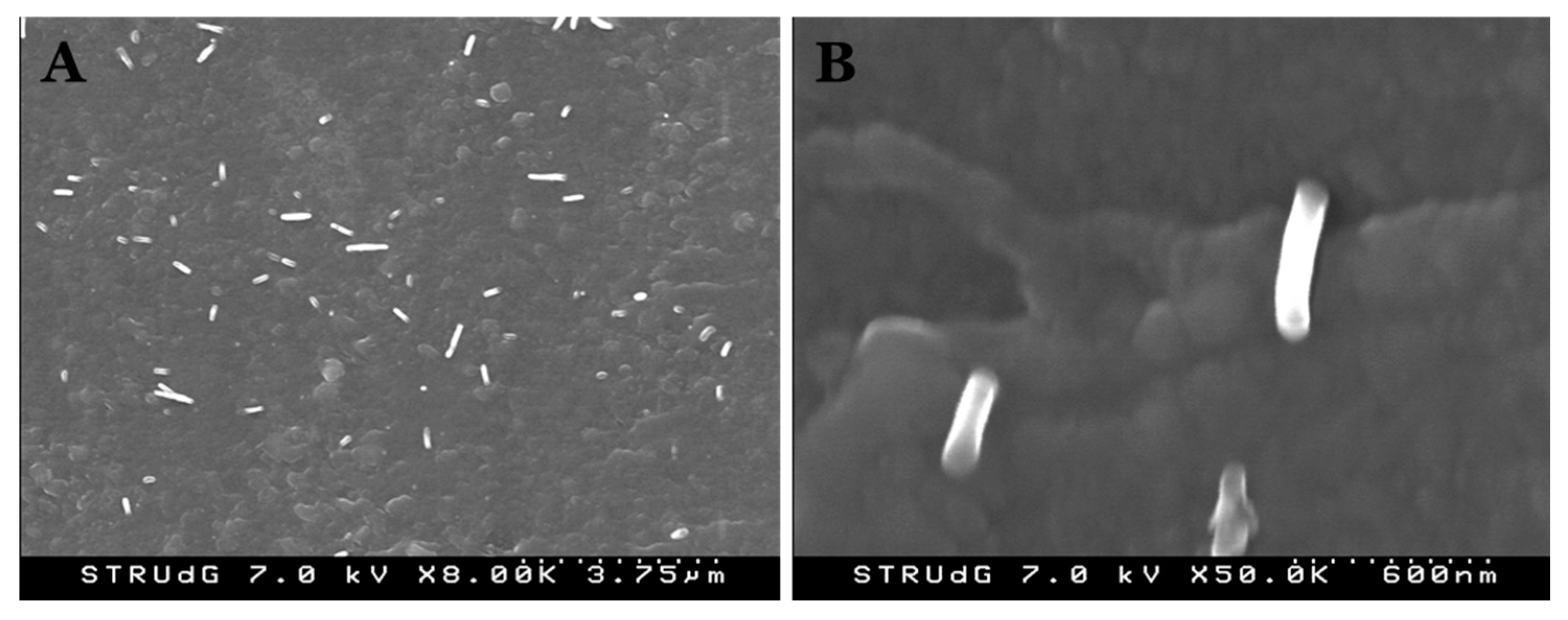 Polymers 12 00974 g005 Polymers 12 00974 g005