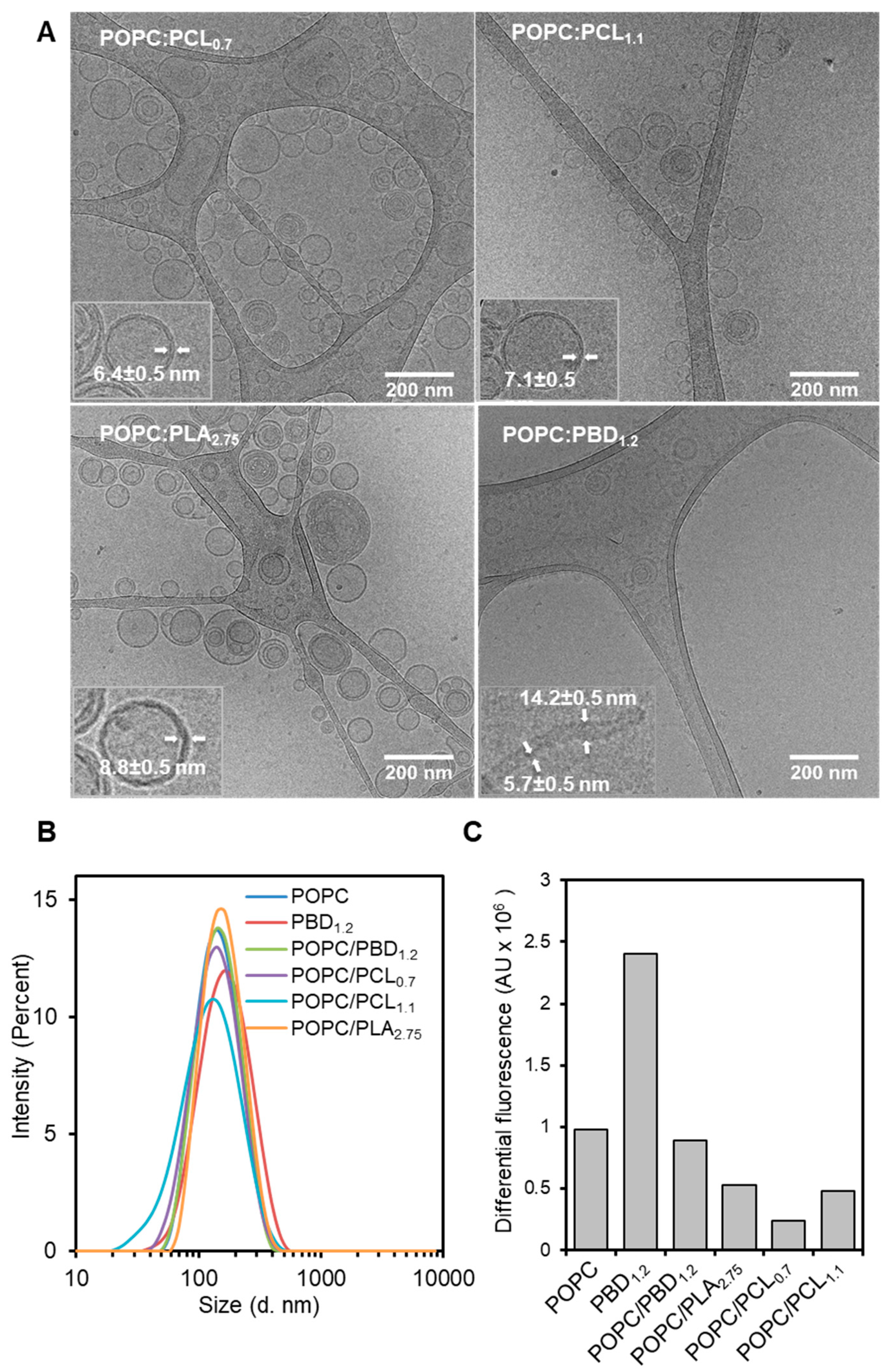 Polymers 12 00979 g001 Polymers 12 00979 g001