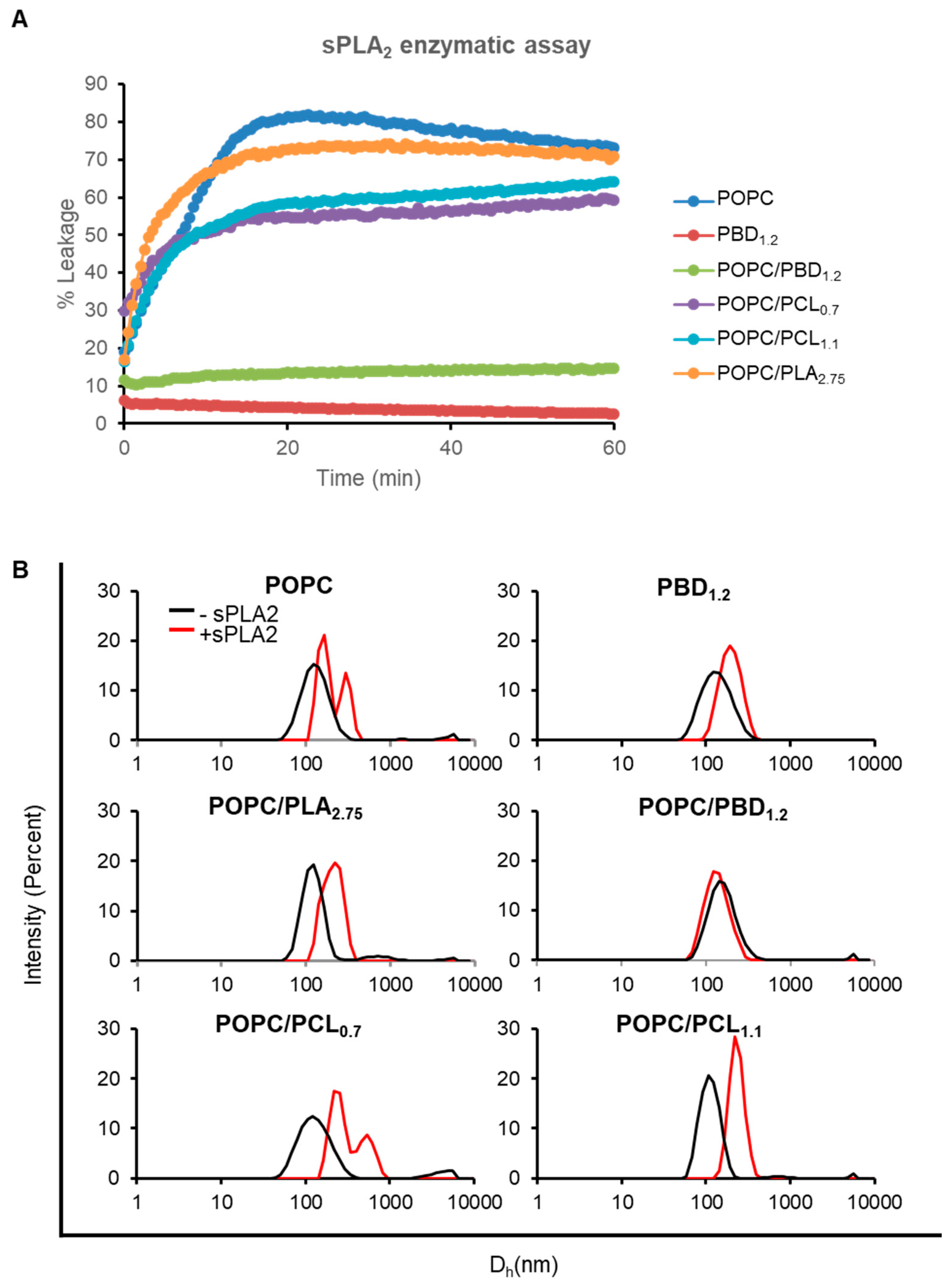 Polymers 12 00979 g003 Polymers 12 00979 g003