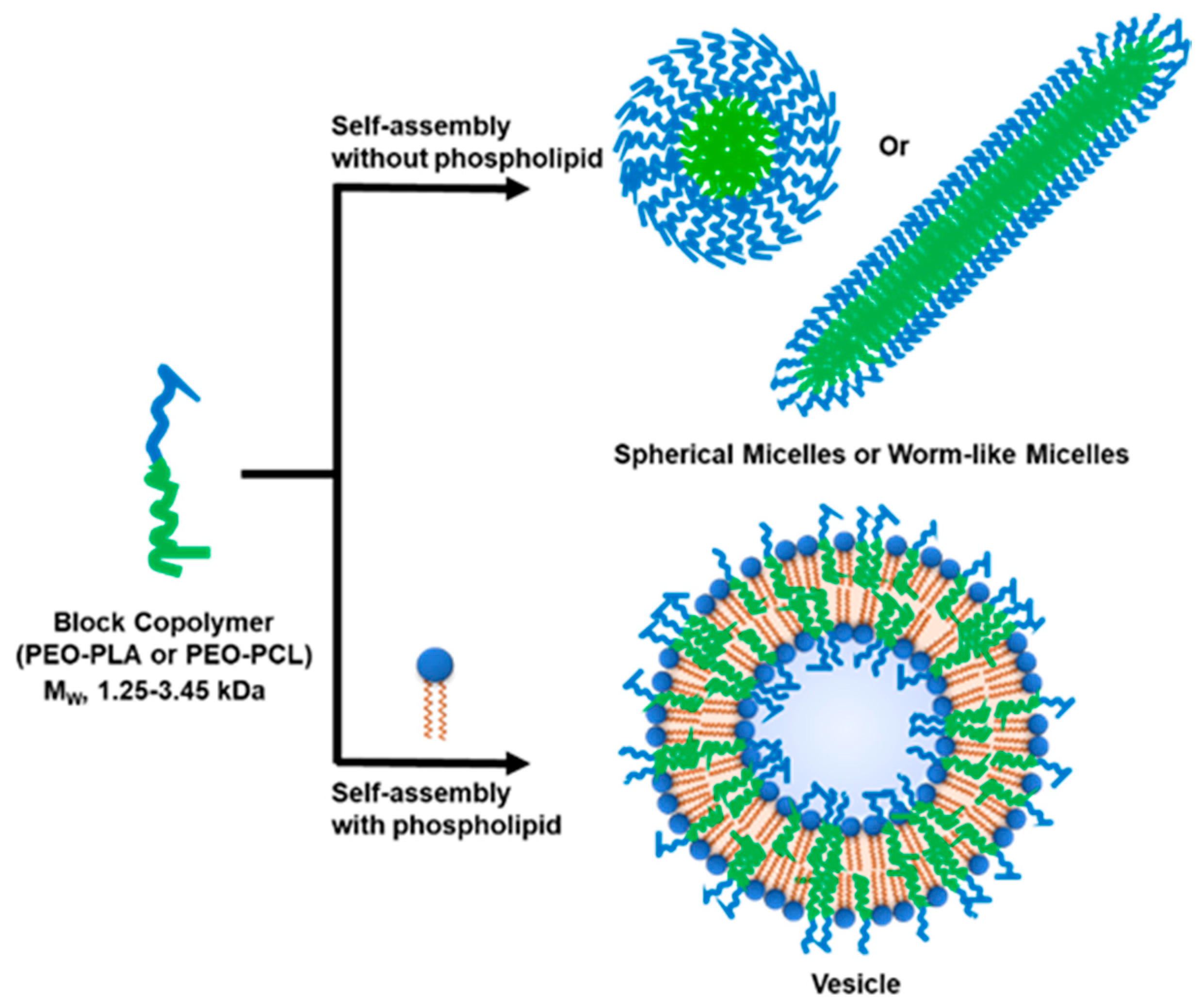 Polymers 12 00979 sch001 Polymers 12 00979 sch001