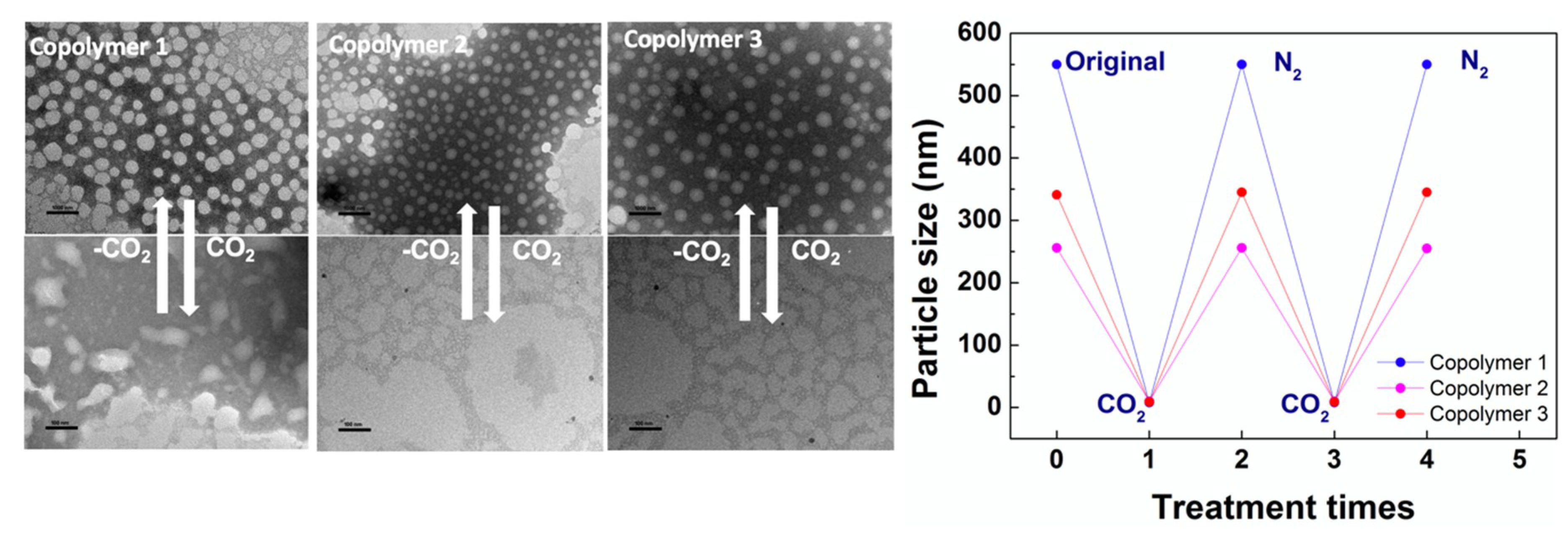 Polymers 12 00984 g005