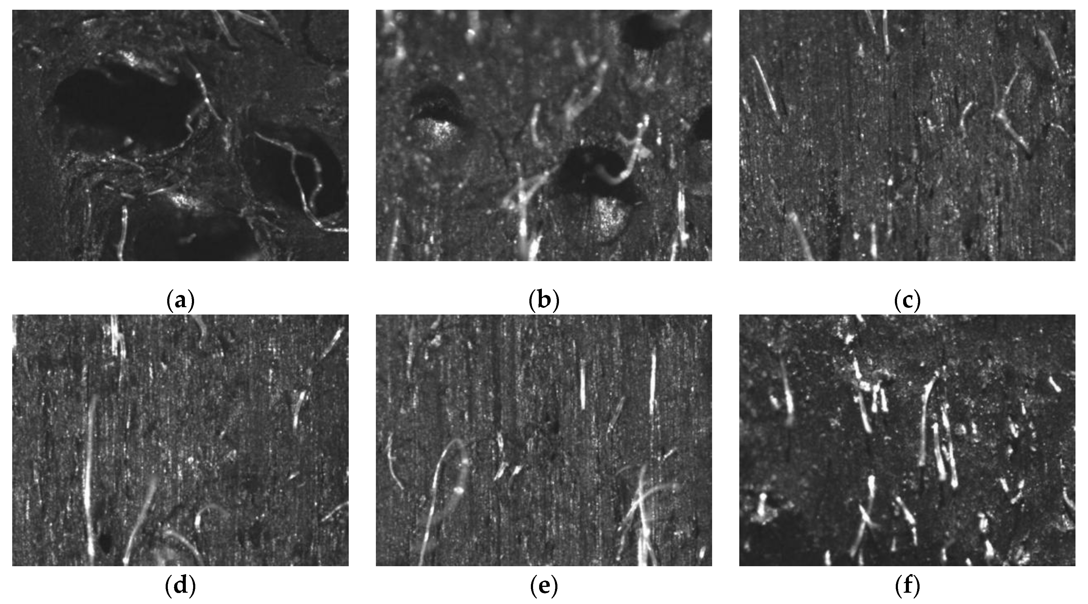 Polymers 12 00985 g008 Polymers 12 00985 g008