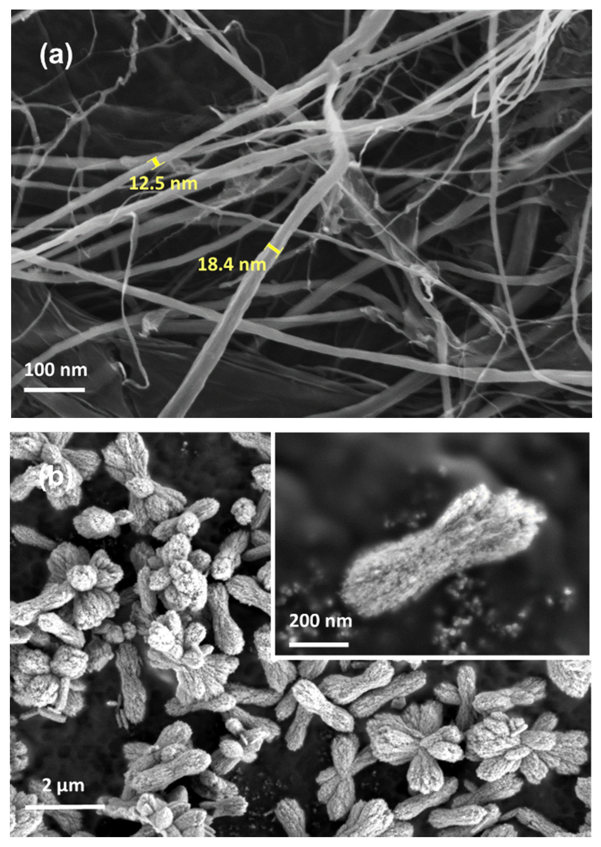 Polymers 12 00986 g001