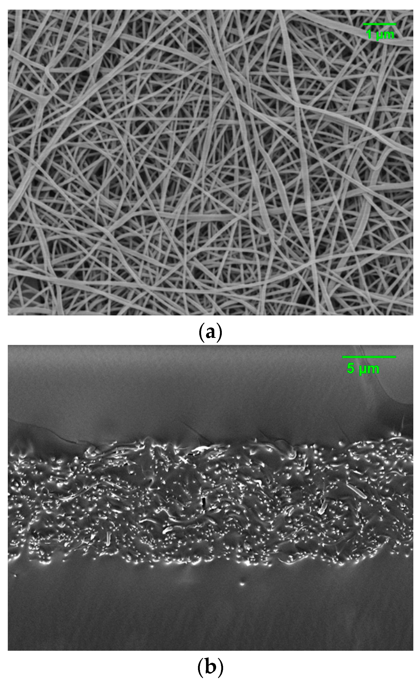 Polymers 12 00987 g009