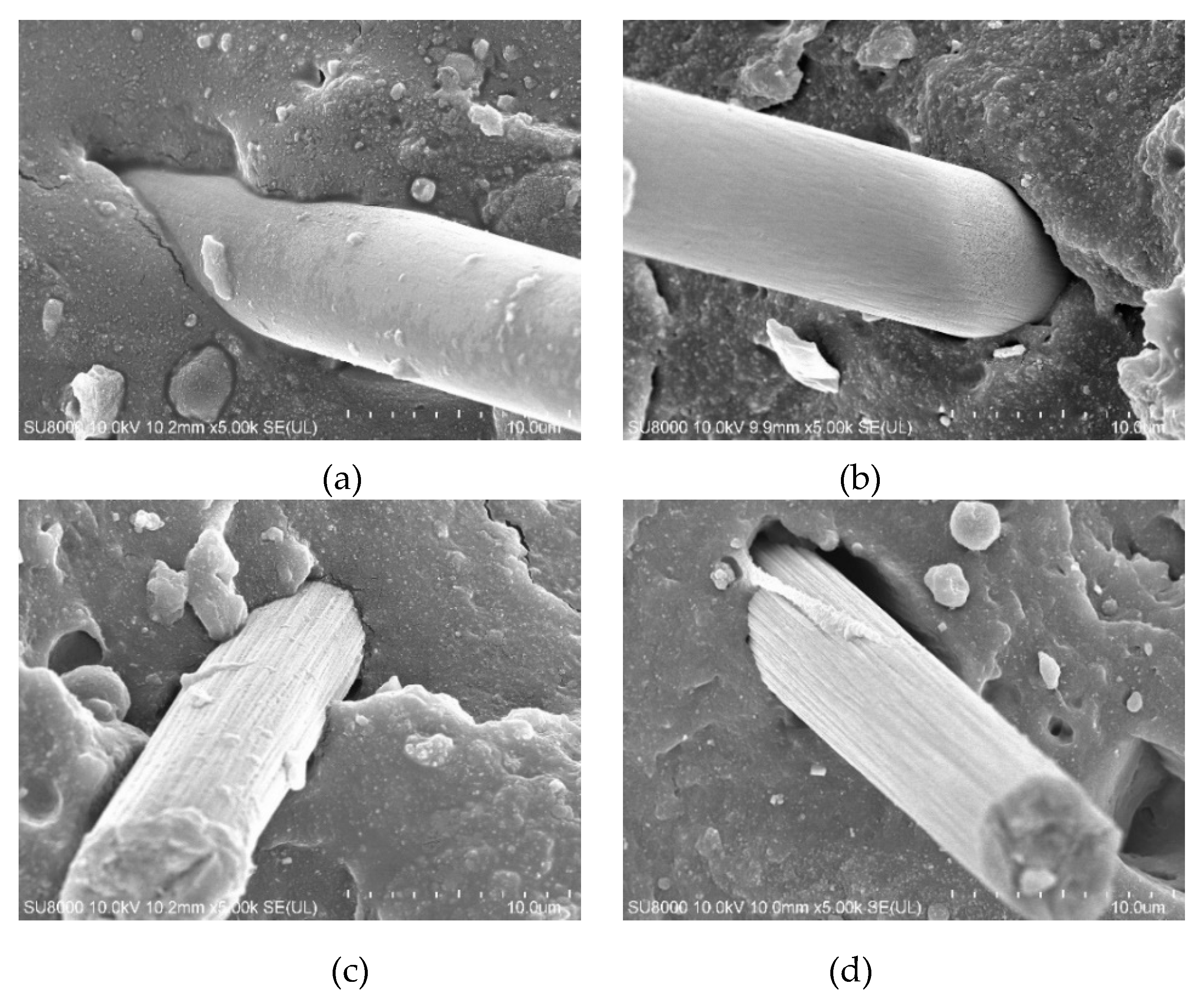 Polymers 12 00988 g004 Polymers 12 00988 g004