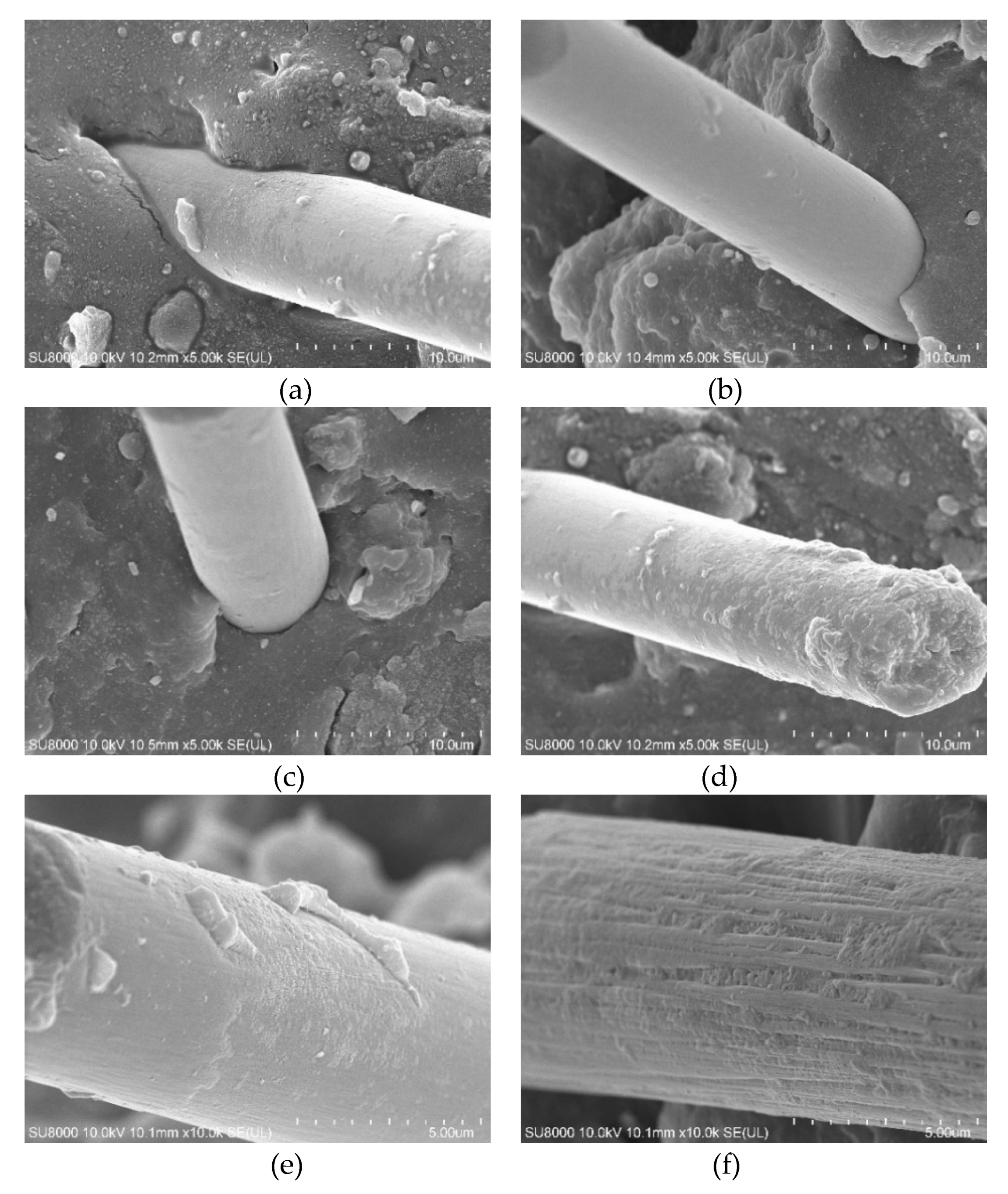 Polymers 12 00988 g005 Polymers 12 00988 g005