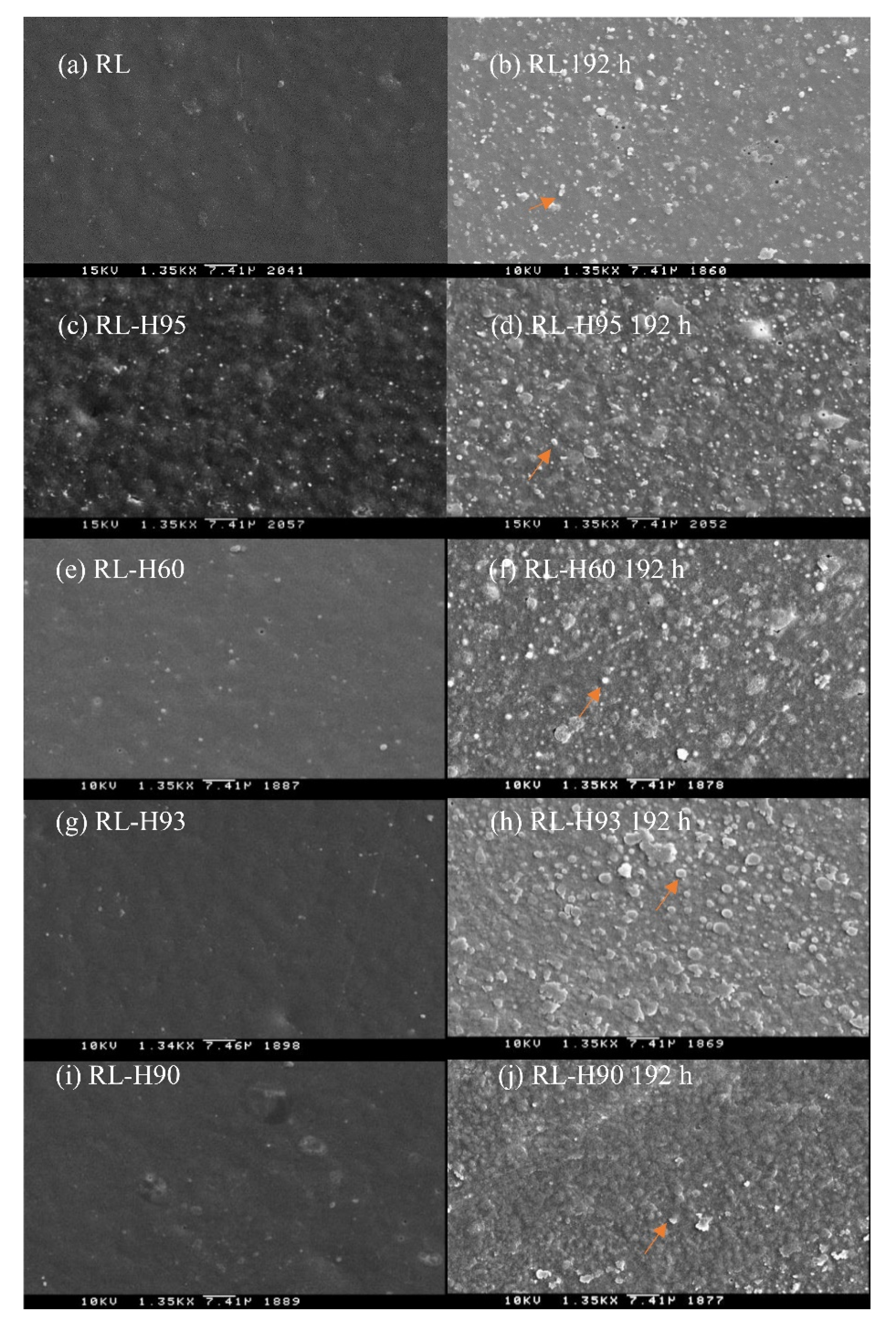 Polymers 12 00990 g002 Polymers 12 00990 g002