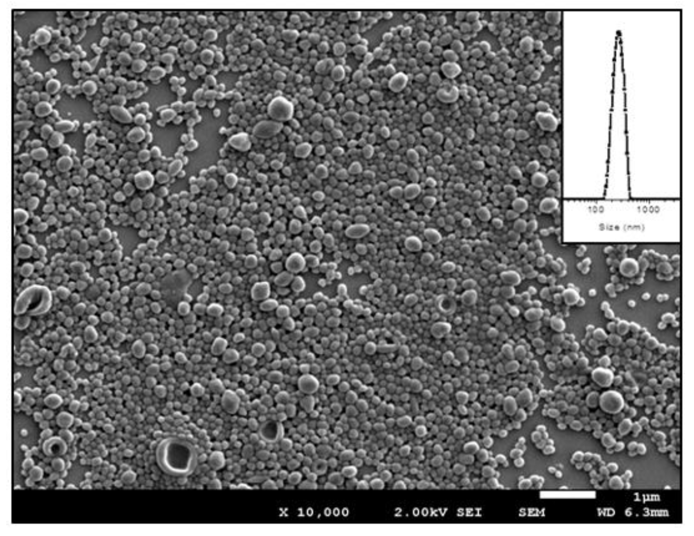 Polymers 12 00995 g007 Polymers 12 00995 g007